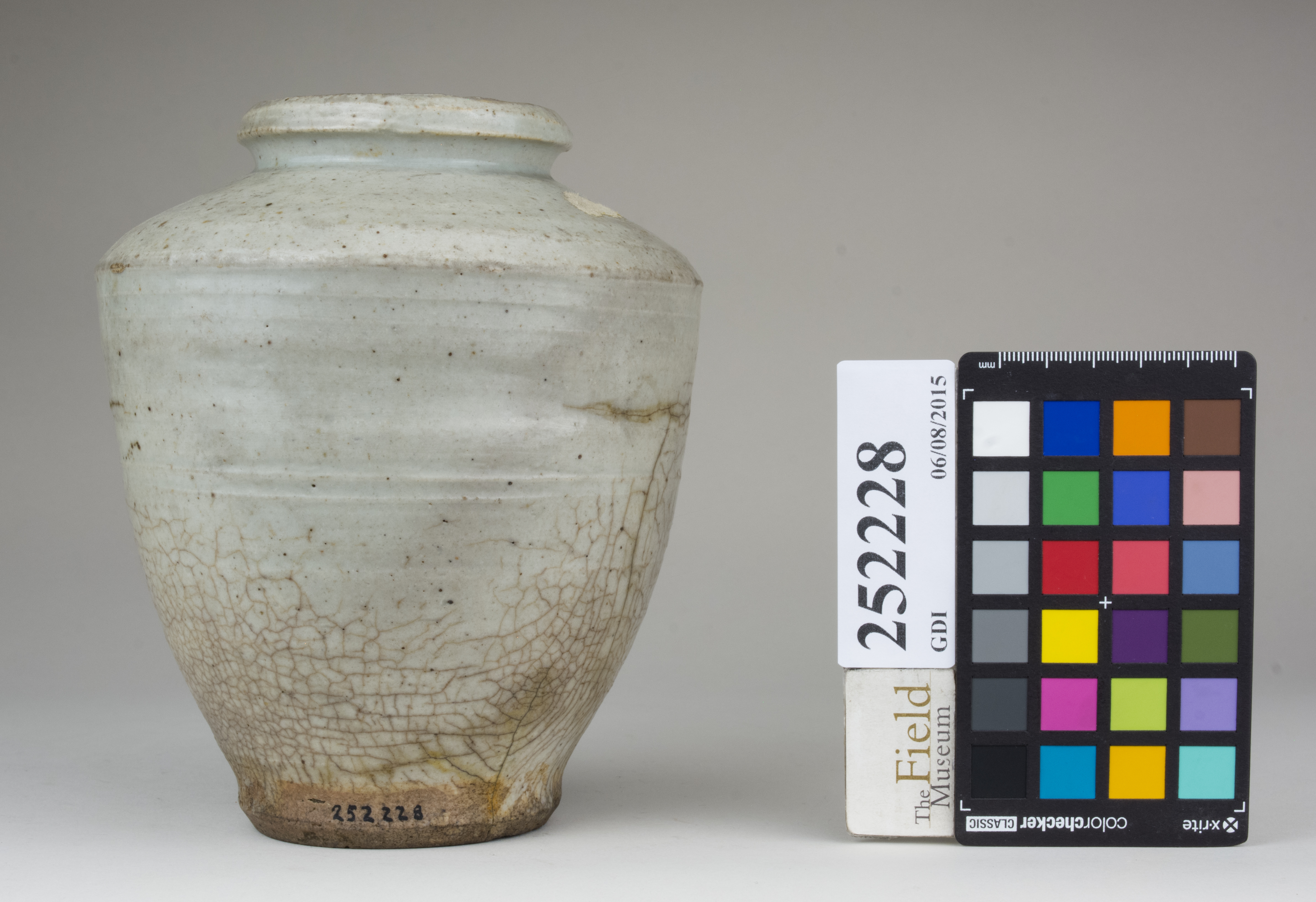 Front (c) Field Museum of Natural History - CC BY-NC 4.0