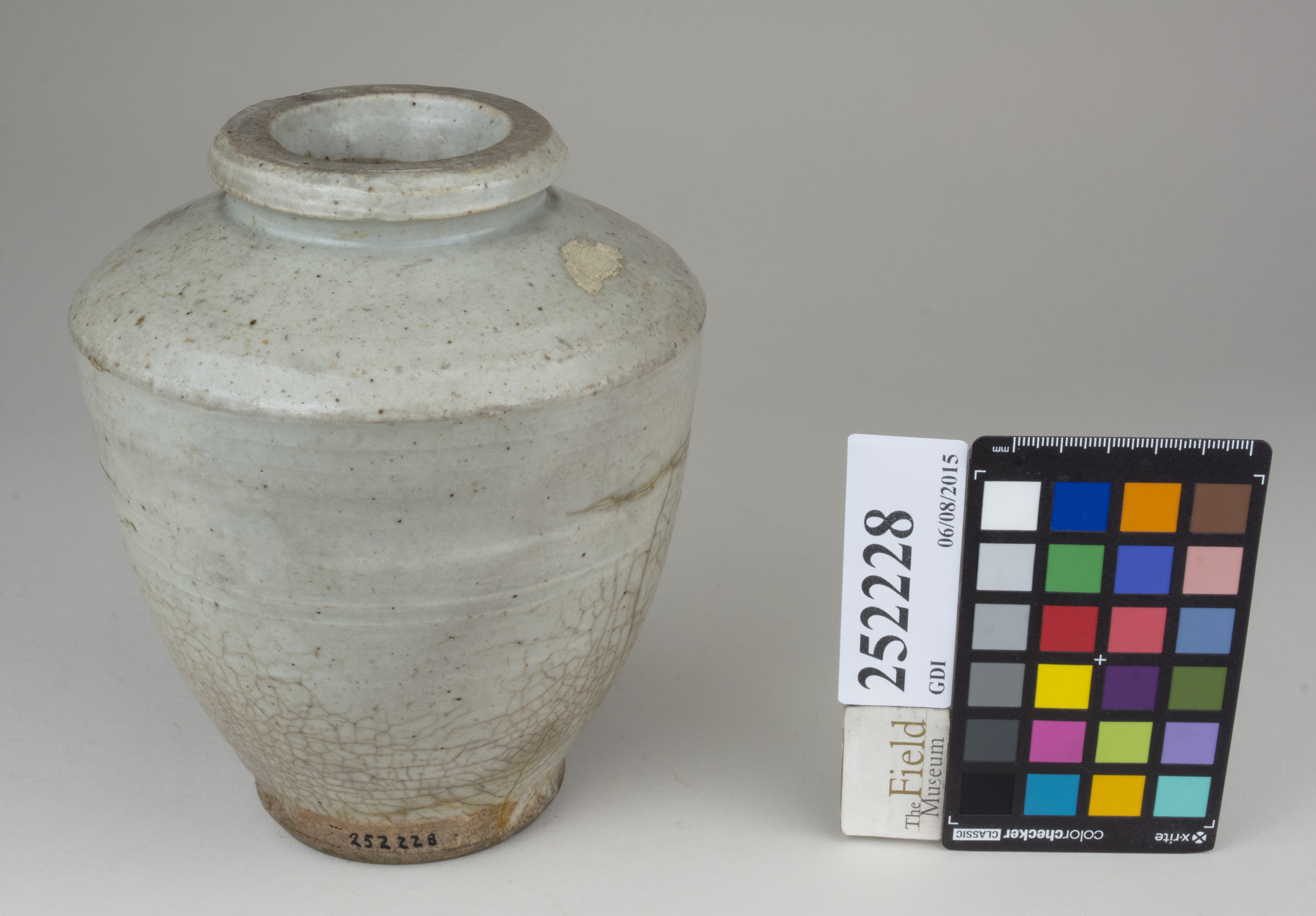 FrontAngle (c) Field Museum of Natural History - CC BY-NC 4.0