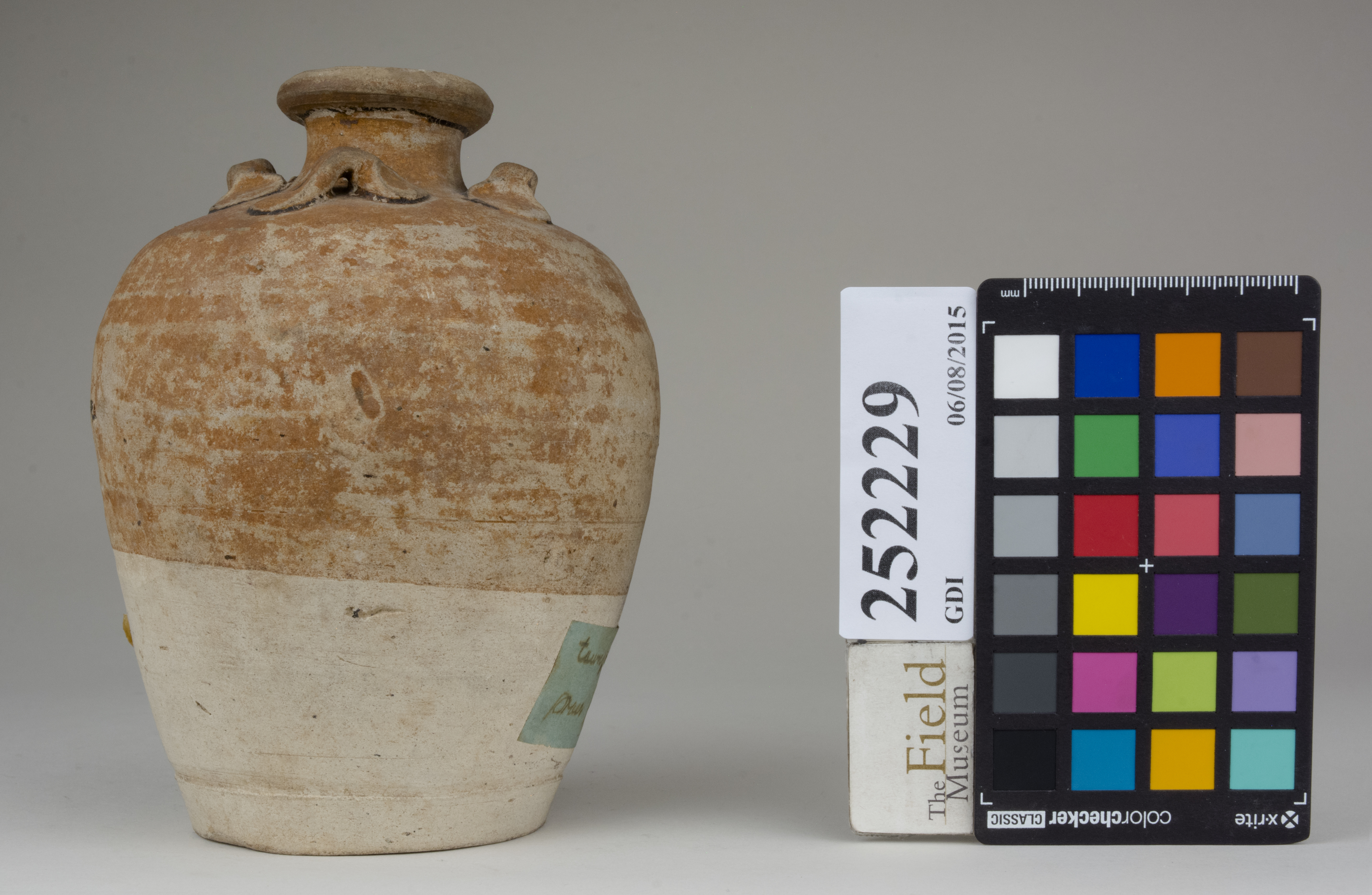 reference image, back (c) Field Museum of Natural History - CC BY-NC 4.0