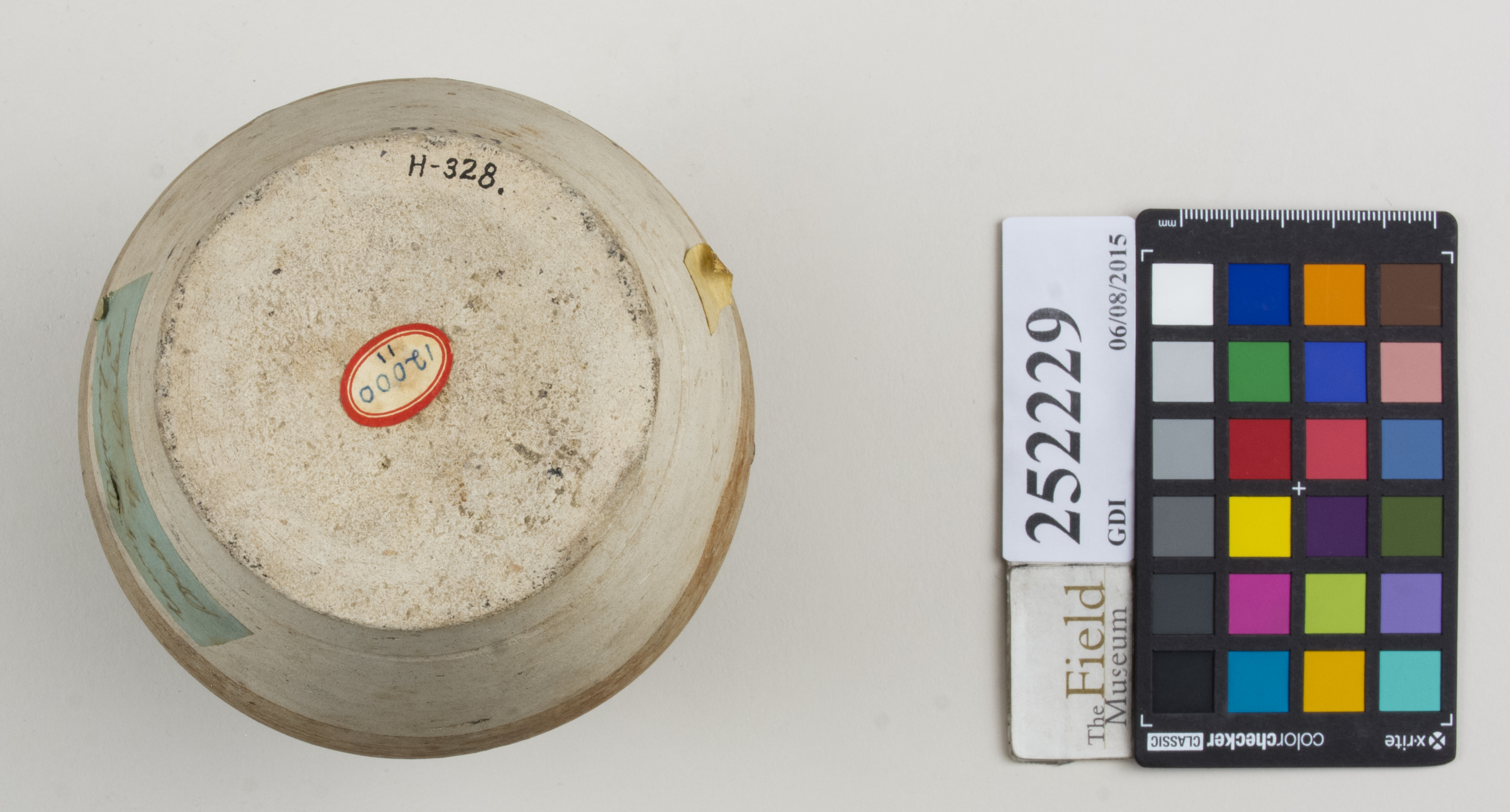 Bottom (c) Field Museum of Natural History - CC BY-NC 4.0