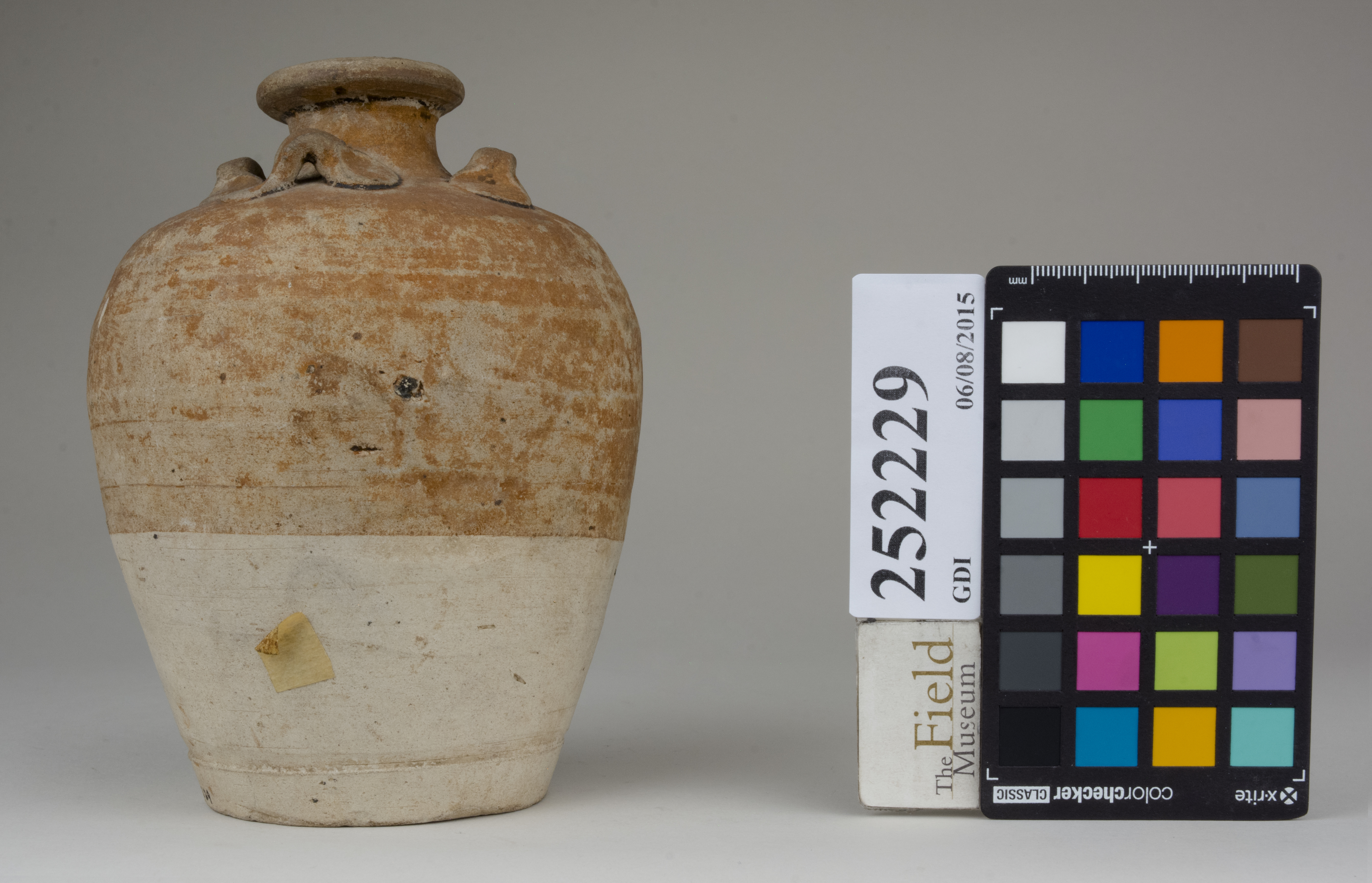 Left (c) Field Museum of Natural History - CC BY-NC 4.0