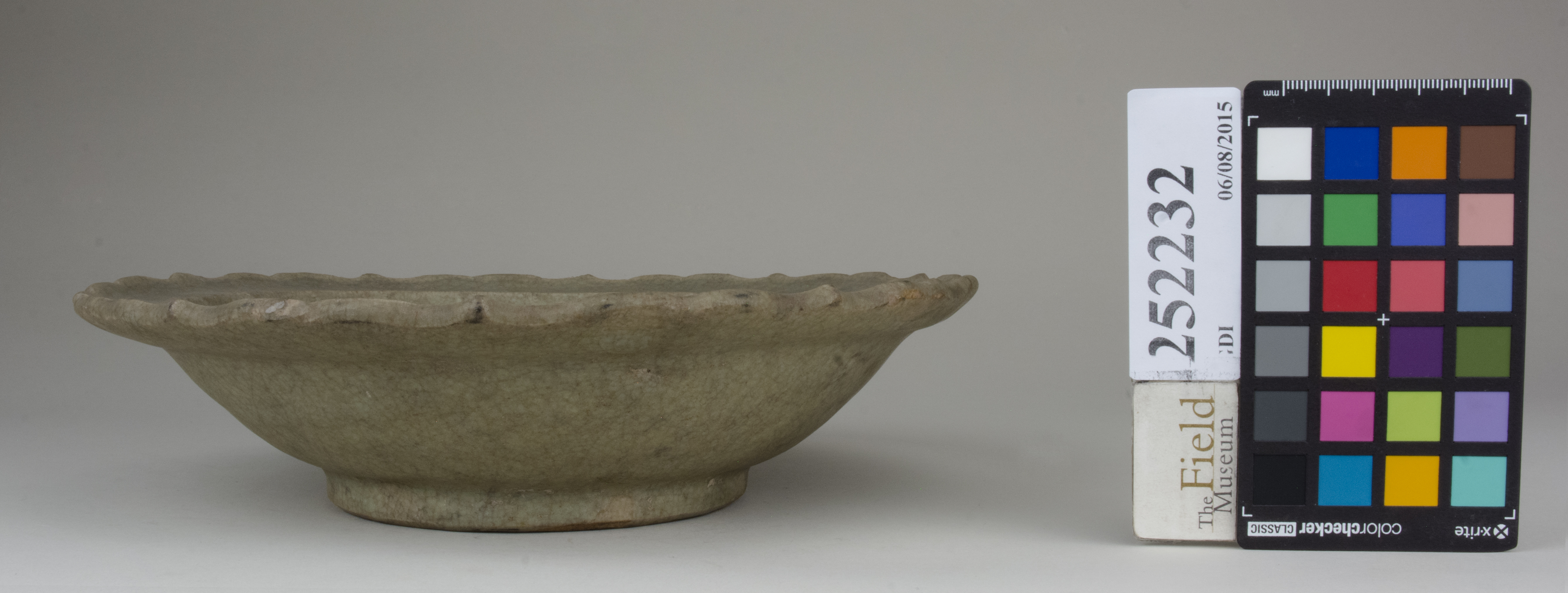 reference image, back (c) Field Museum of Natural History - CC BY-NC 4.0