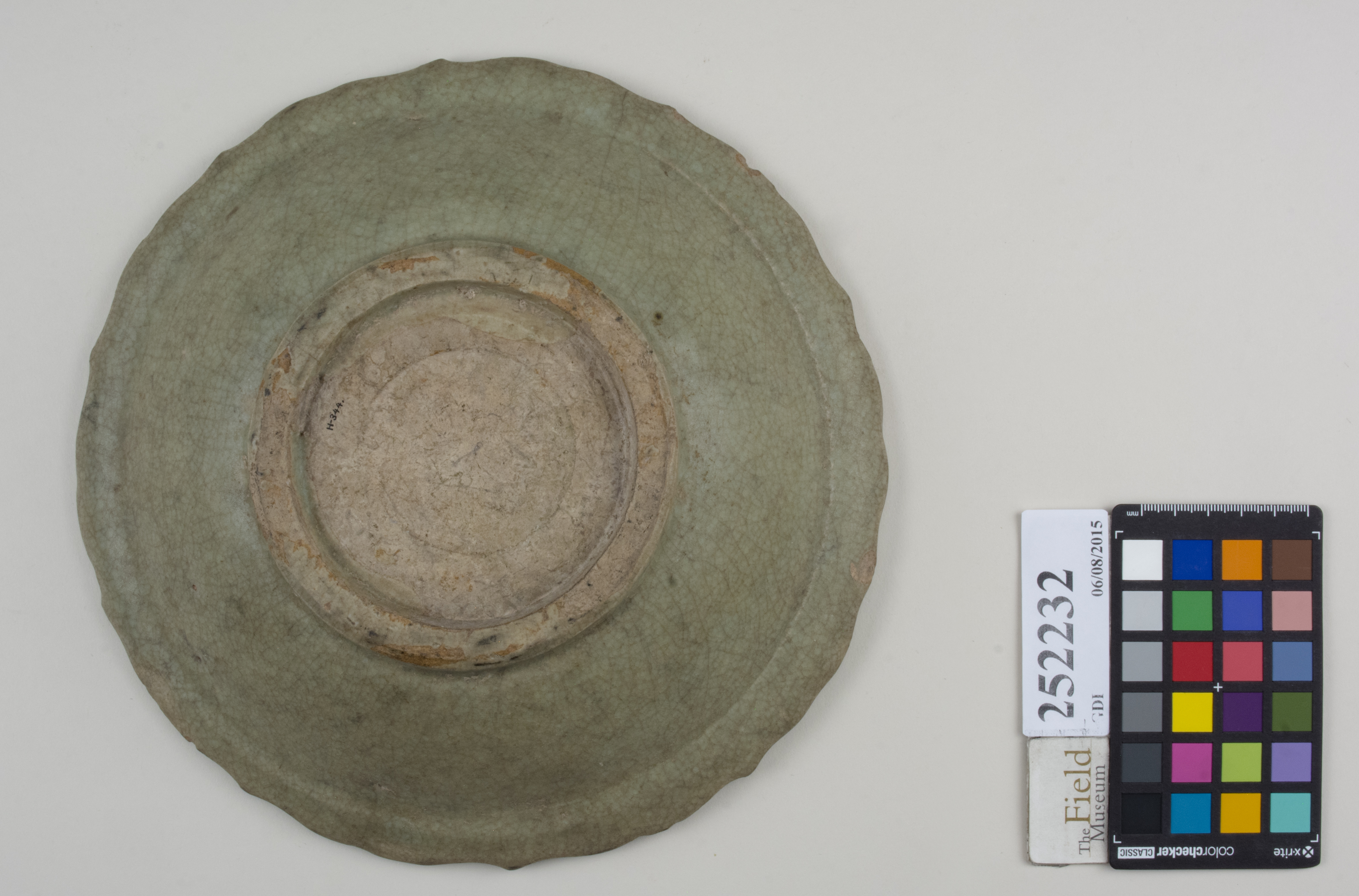 Bottom (c) Field Museum of Natural History - CC BY-NC 4.0