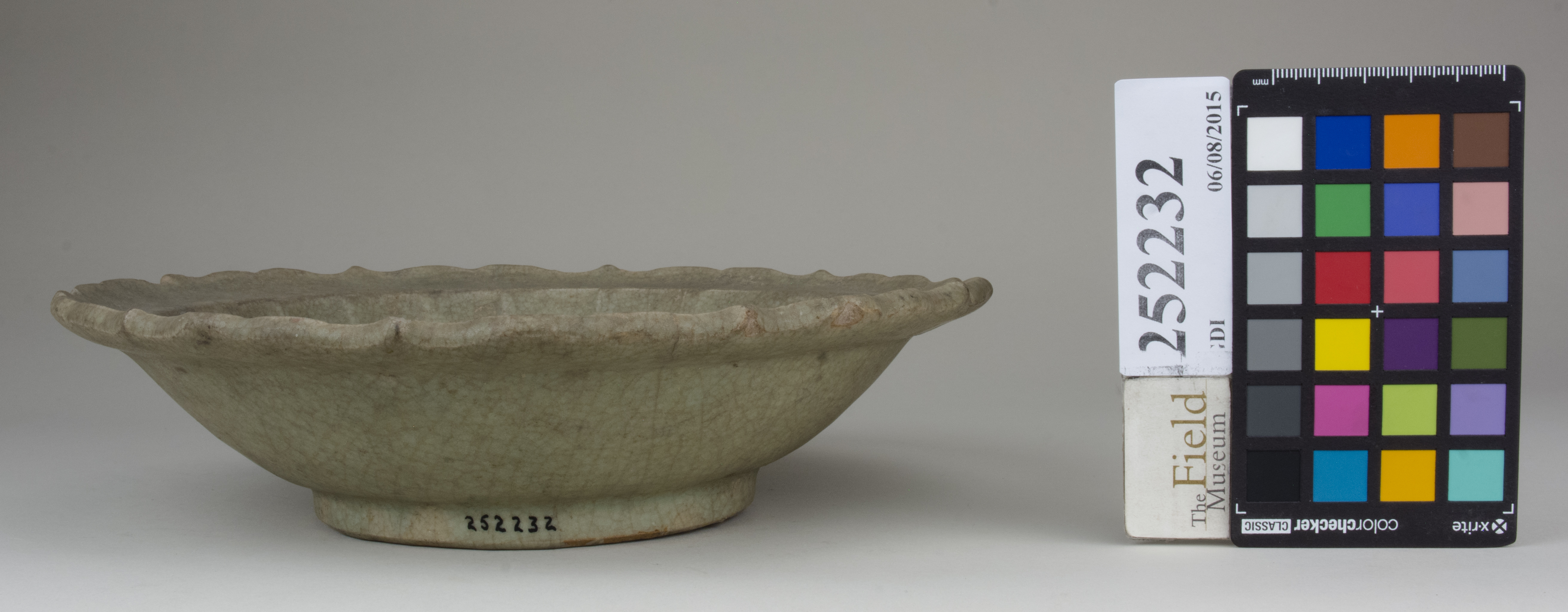 Front (c) Field Museum of Natural History - CC BY-NC 4.0