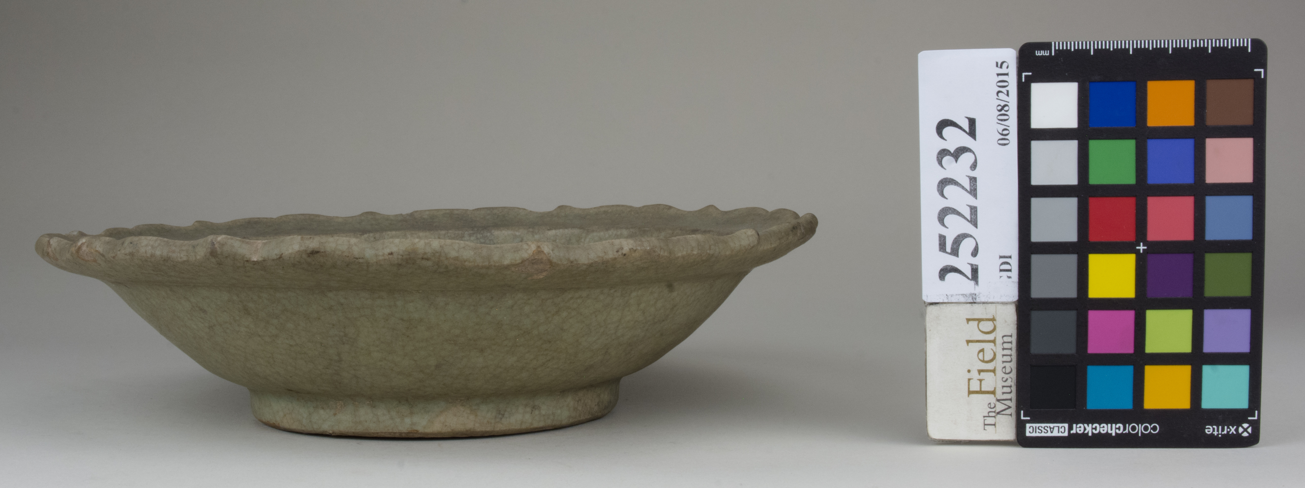 Left (c) Field Museum of Natural History - CC BY-NC 4.0