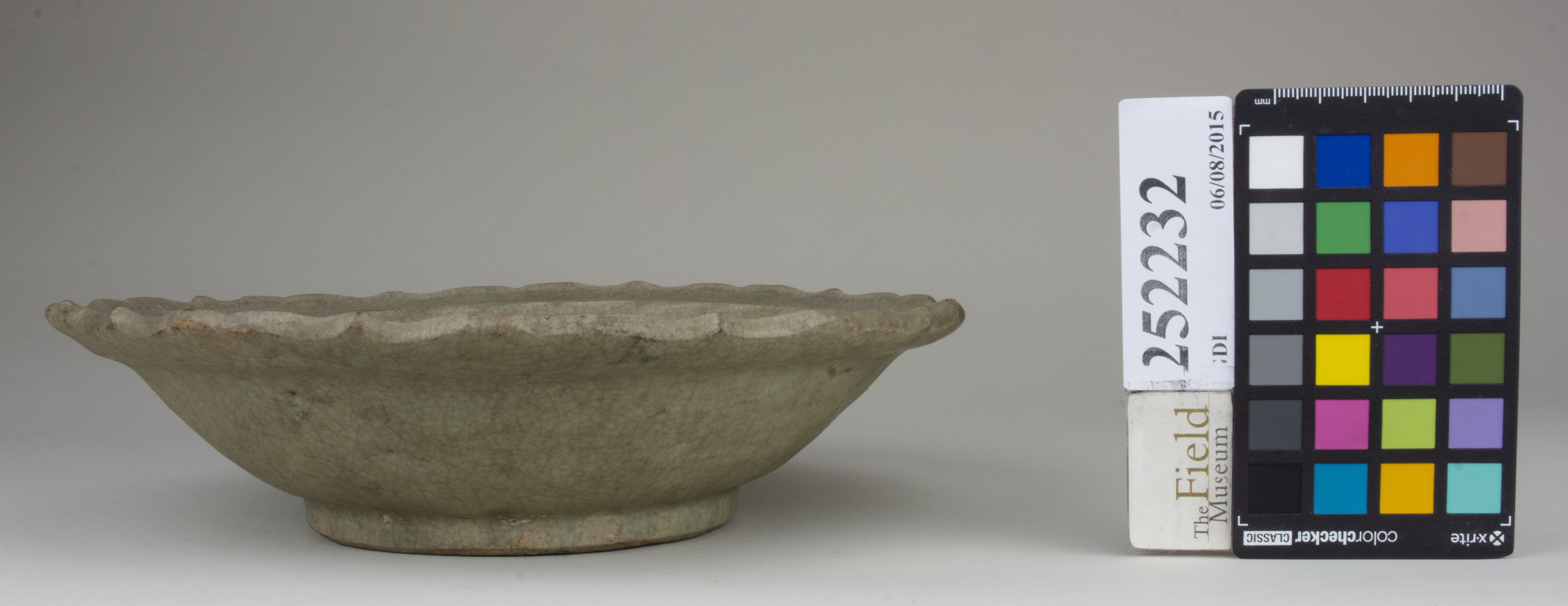 Right (c) Field Museum of Natural History - CC BY-NC 4.0