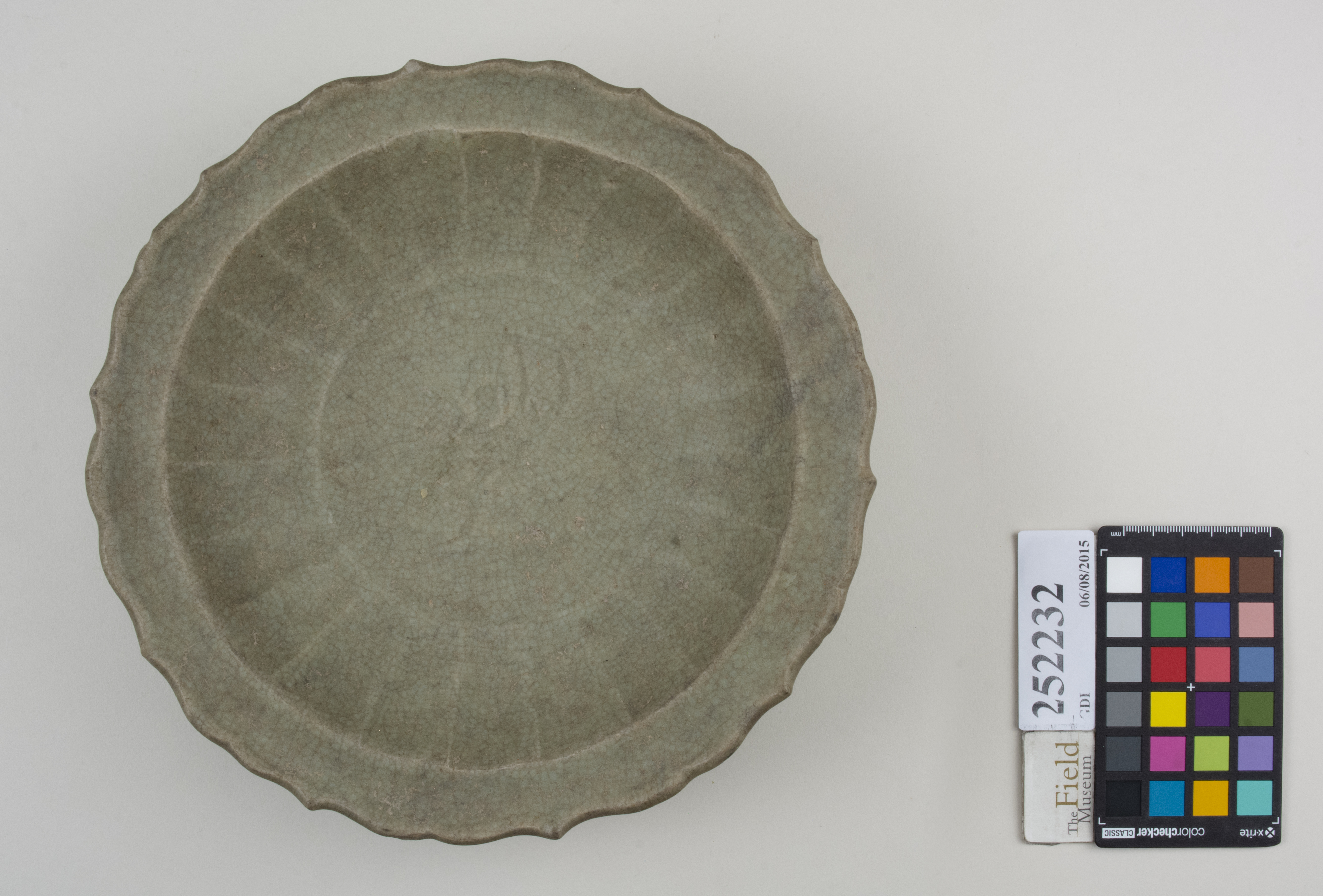 Top (c) Field Museum of Natural History - CC BY-NC 4.0