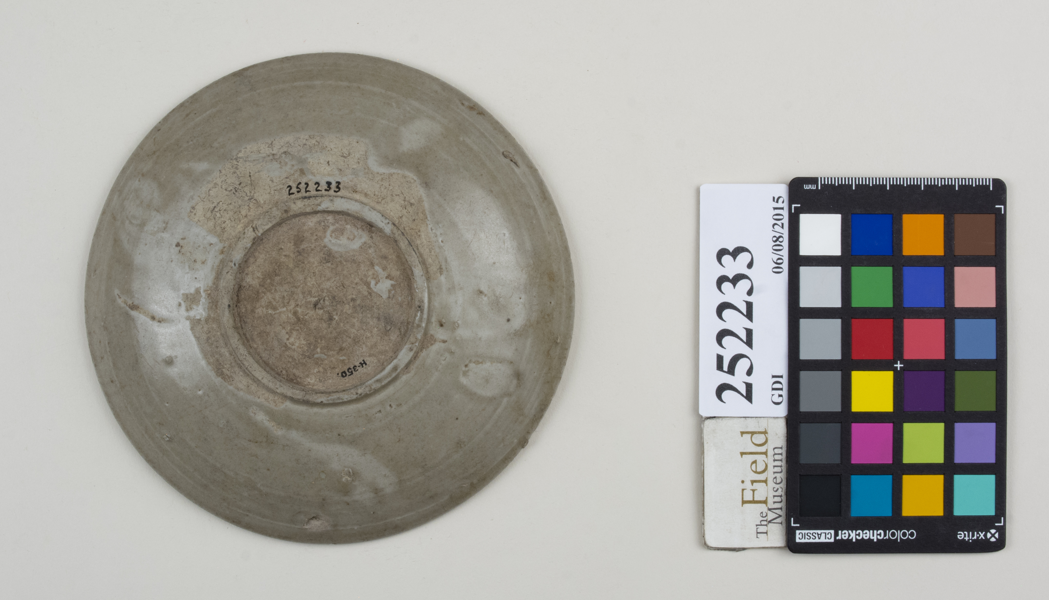 Bottom (c) Field Museum of Natural History - CC BY-NC 4.0