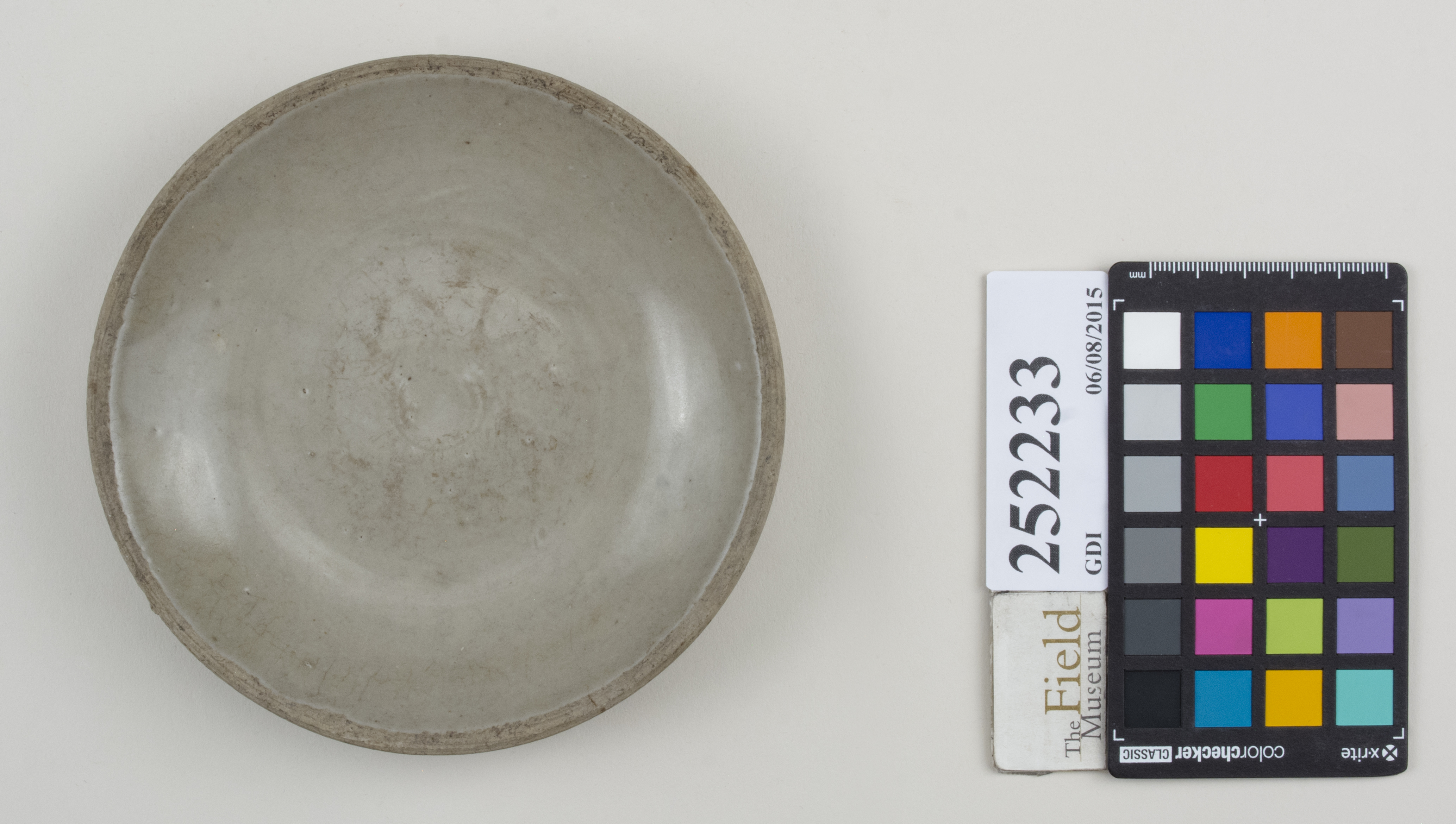 Top (c) Field Museum of Natural History - CC BY-NC 4.0