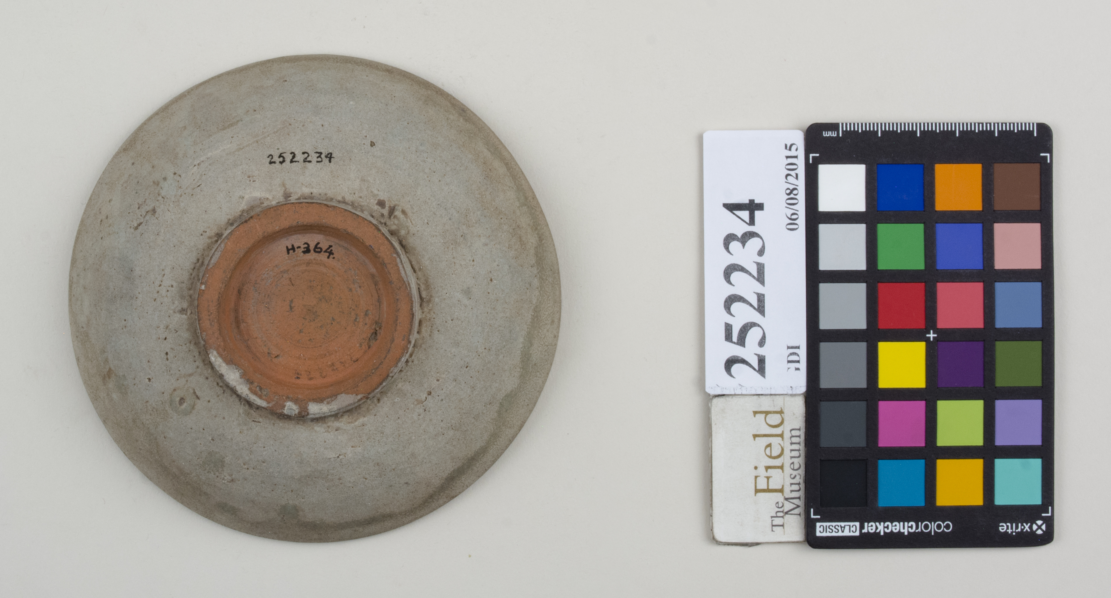 Bottom (c) Field Museum of Natural History - CC BY-NC 4.0