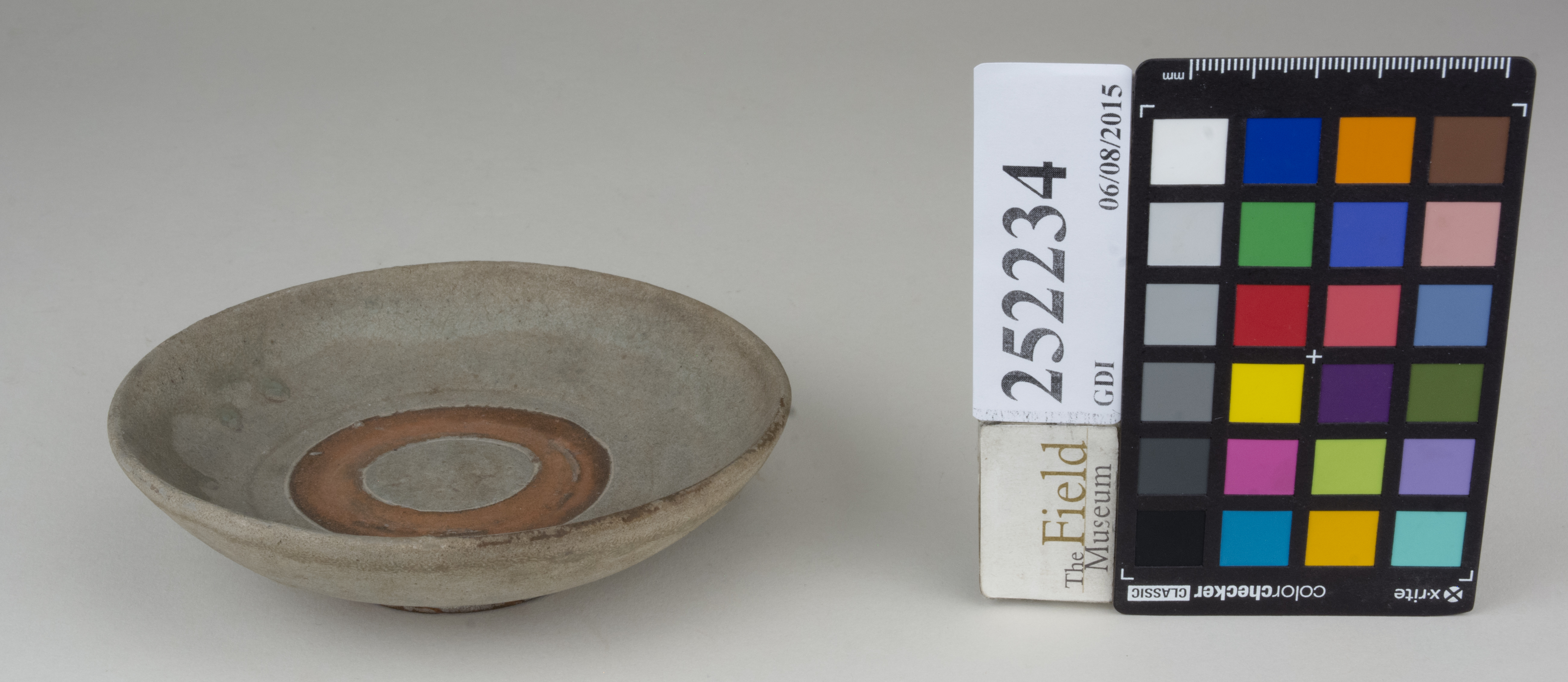 FrontAngle (c) Field Museum of Natural History - CC BY-NC 4.0