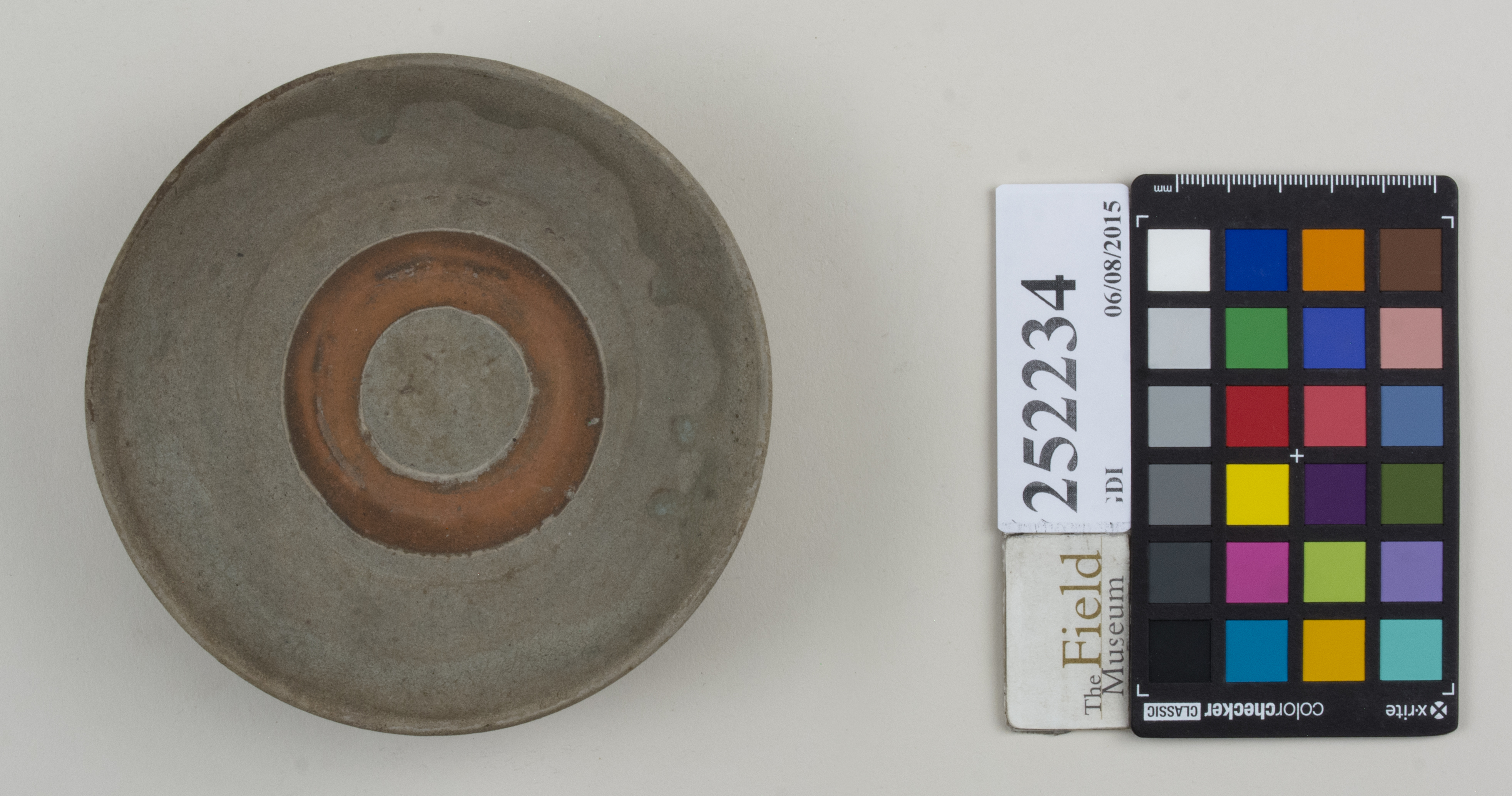 Top (c) Field Museum of Natural History - CC BY-NC 4.0