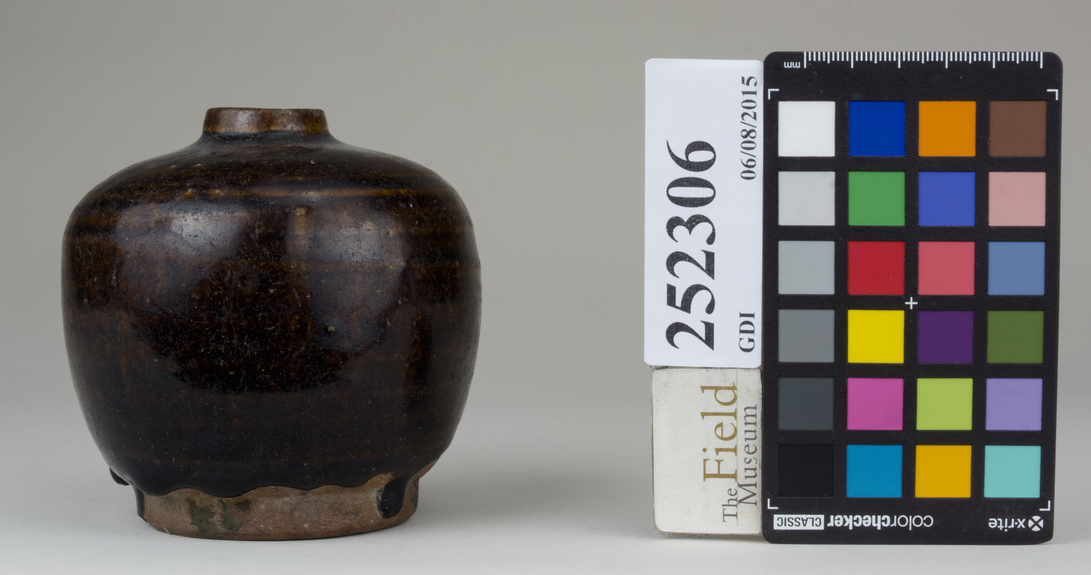 reference image, back (c) Field Museum of Natural History - CC BY-NC 4.0