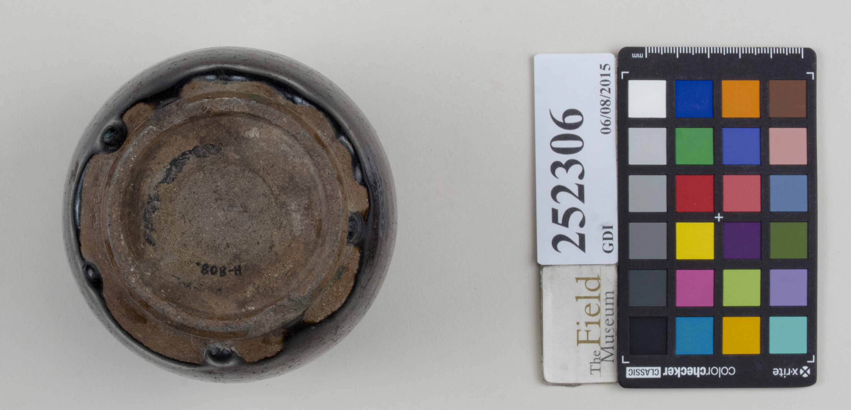 Bottom (c) Field Museum of Natural History - CC BY-NC 4.0