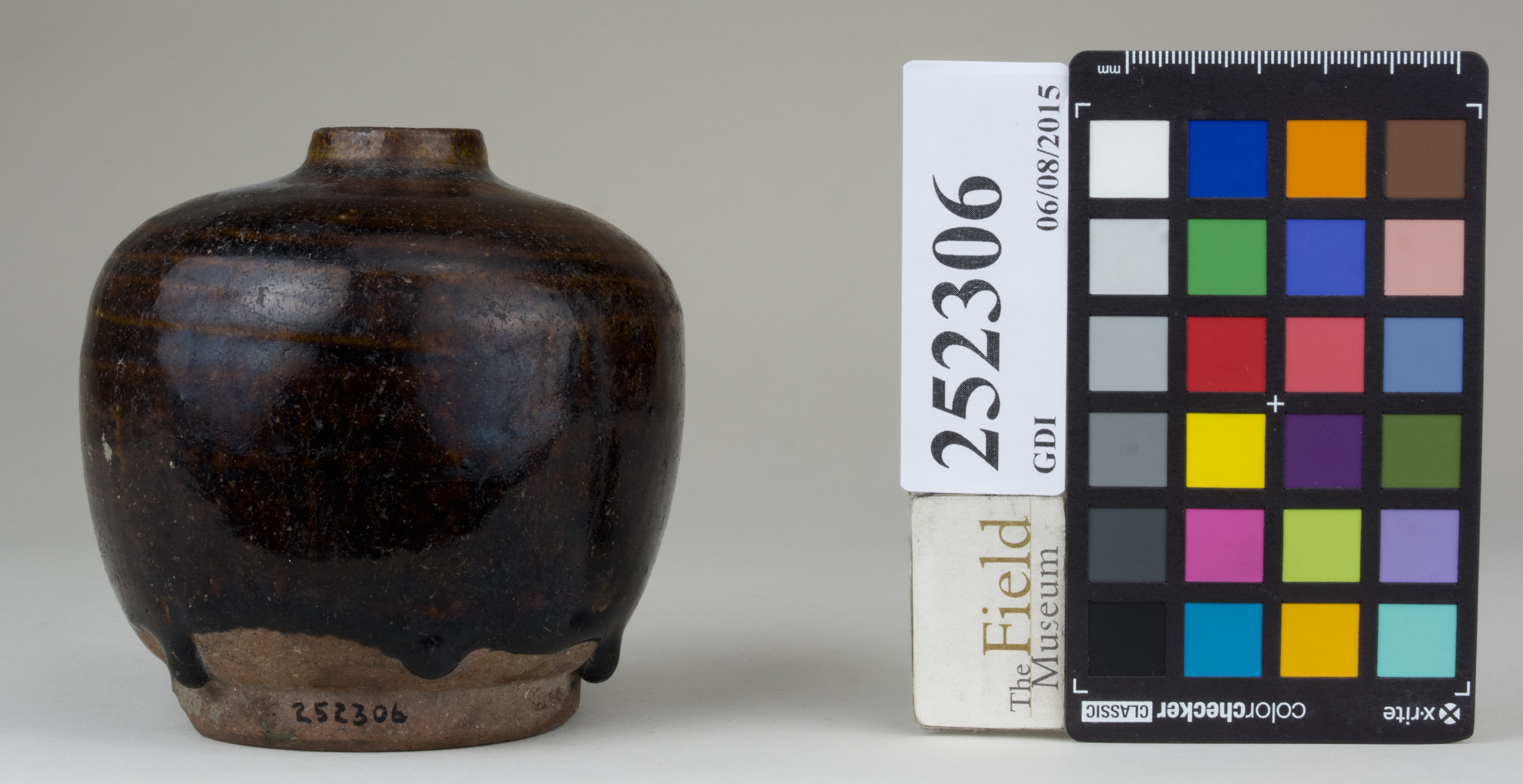 Front (c) Field Museum of Natural History - CC BY-NC 4.0