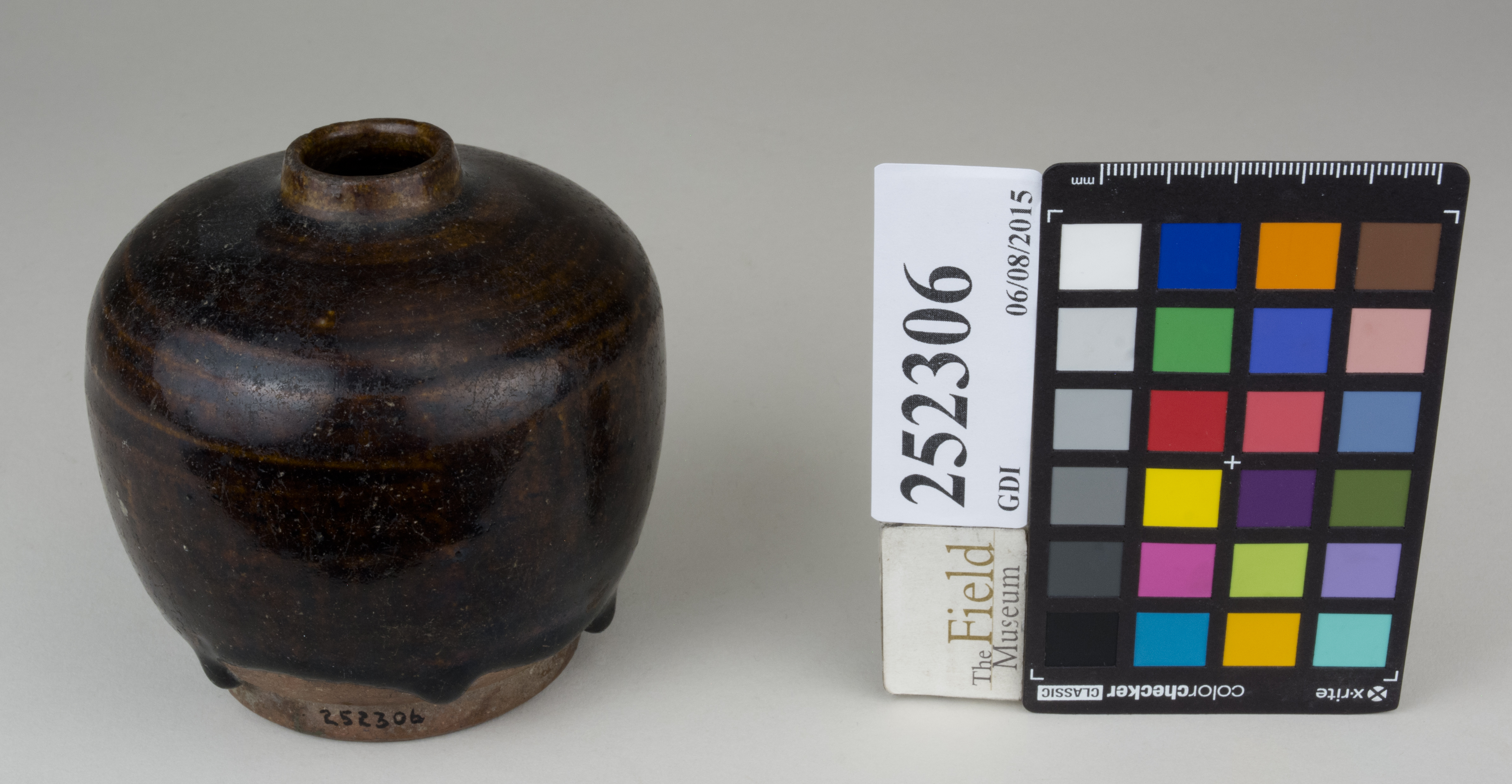 FrontAngle (c) Field Museum of Natural History - CC BY-NC 4.0