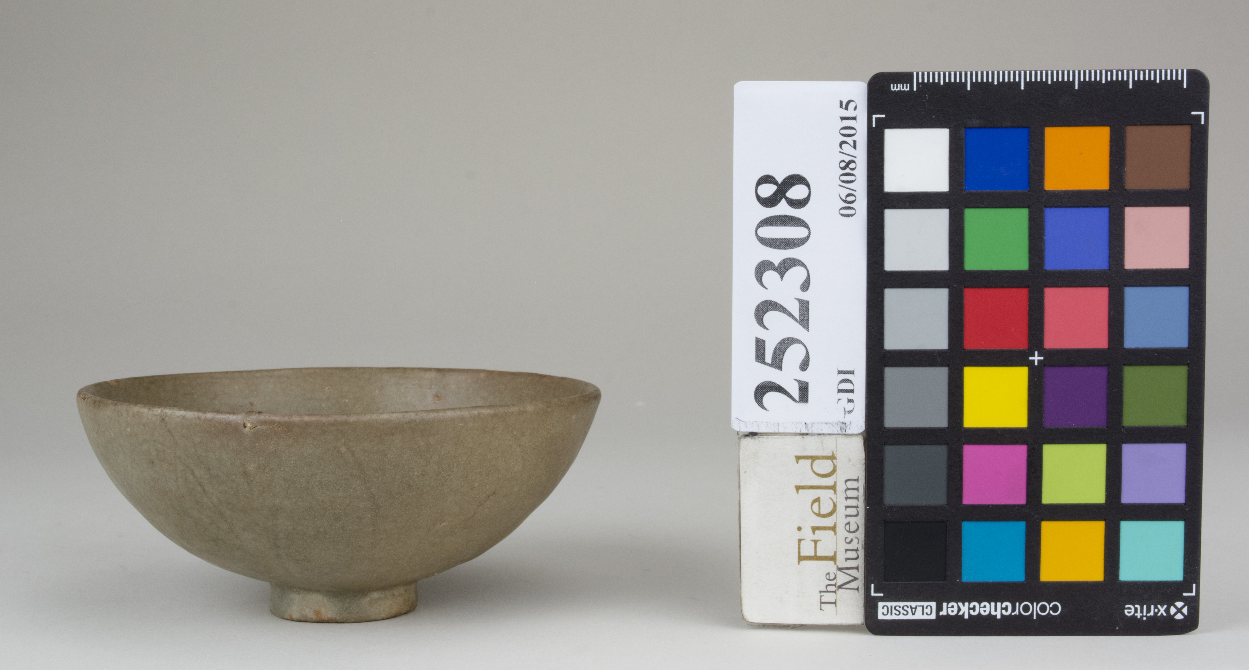 reference image, back (c) Field Museum of Natural History - CC BY-NC 4.0