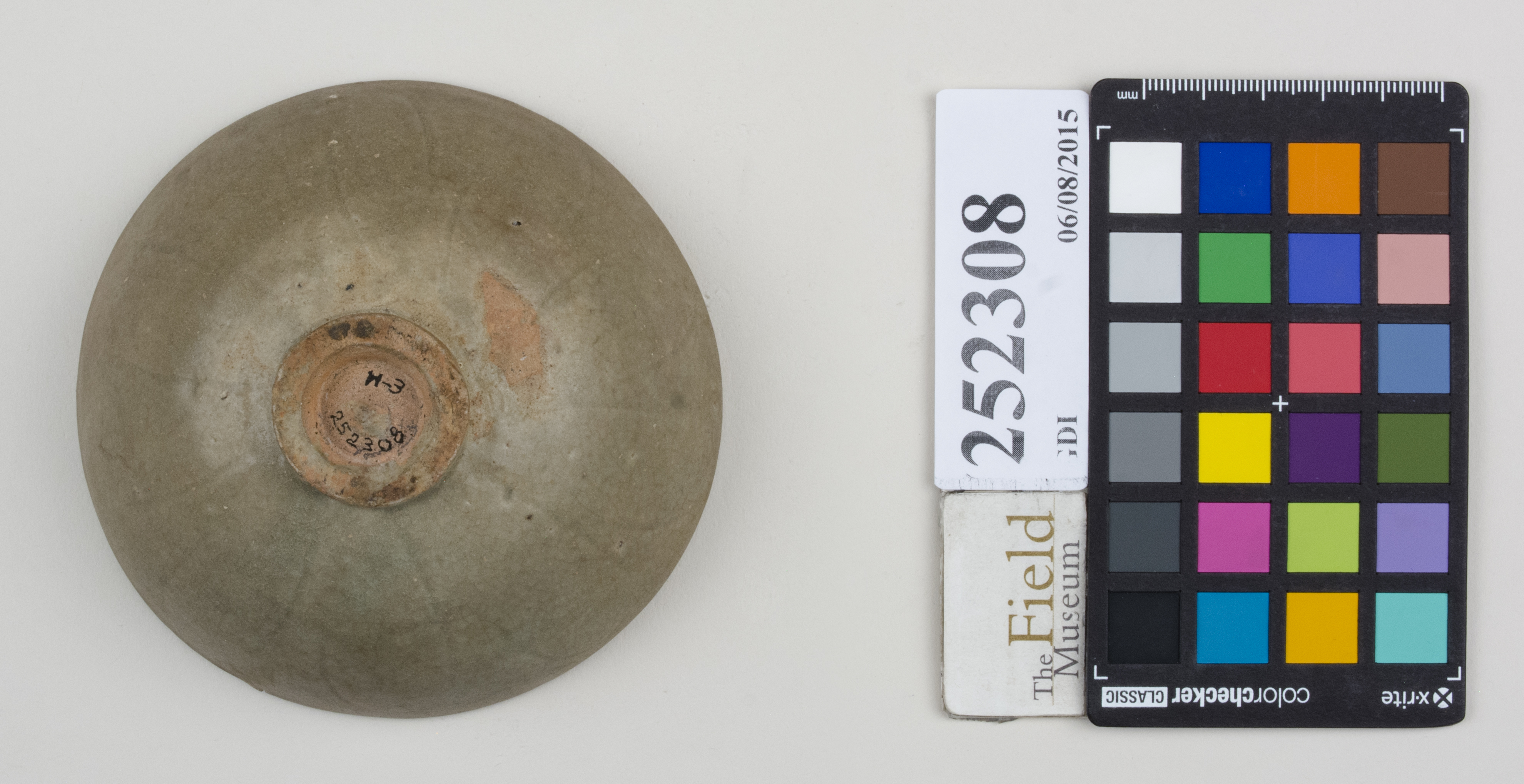 Bottom (c) Field Museum of Natural History - CC BY-NC 4.0