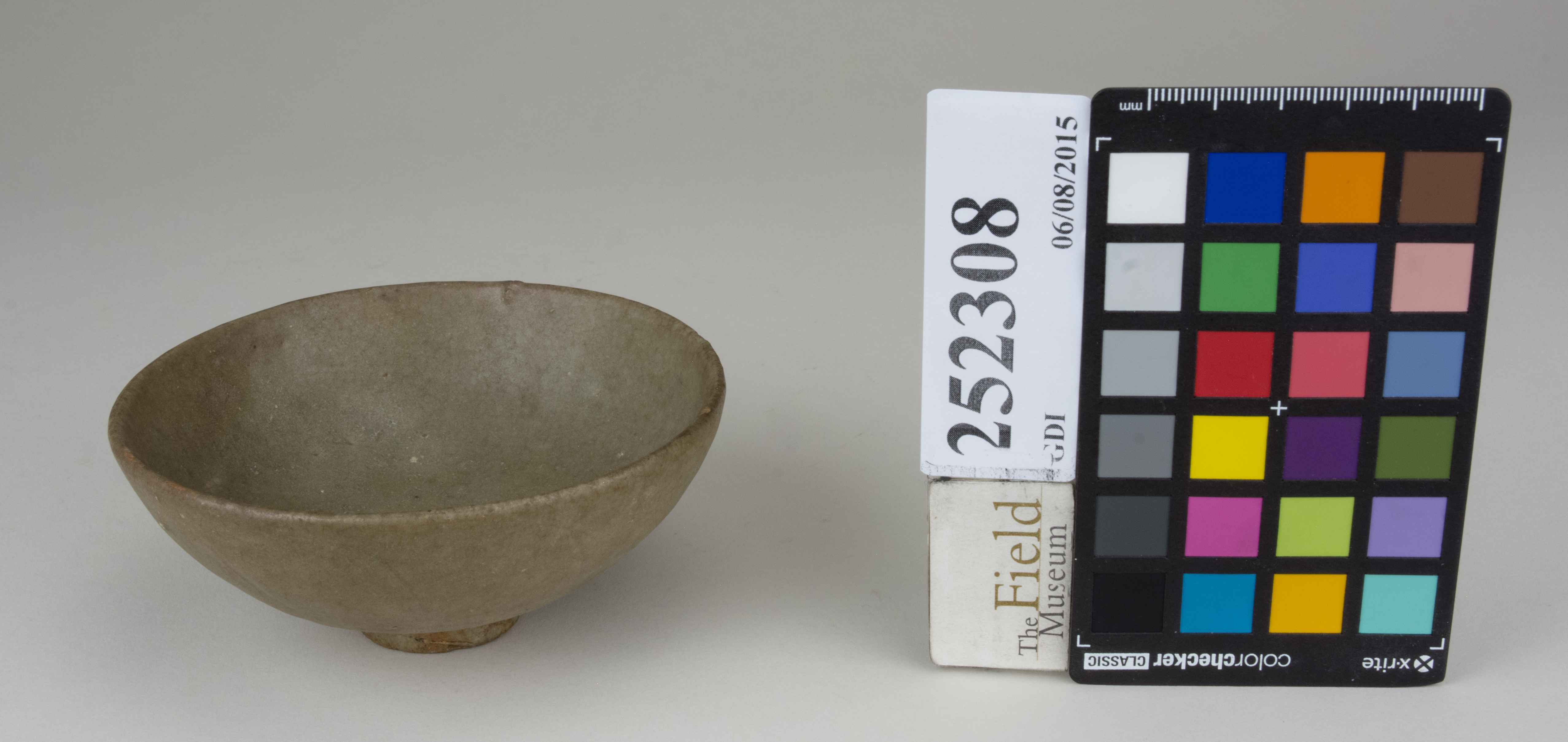 FrontAngle (c) Field Museum of Natural History - CC BY-NC 4.0