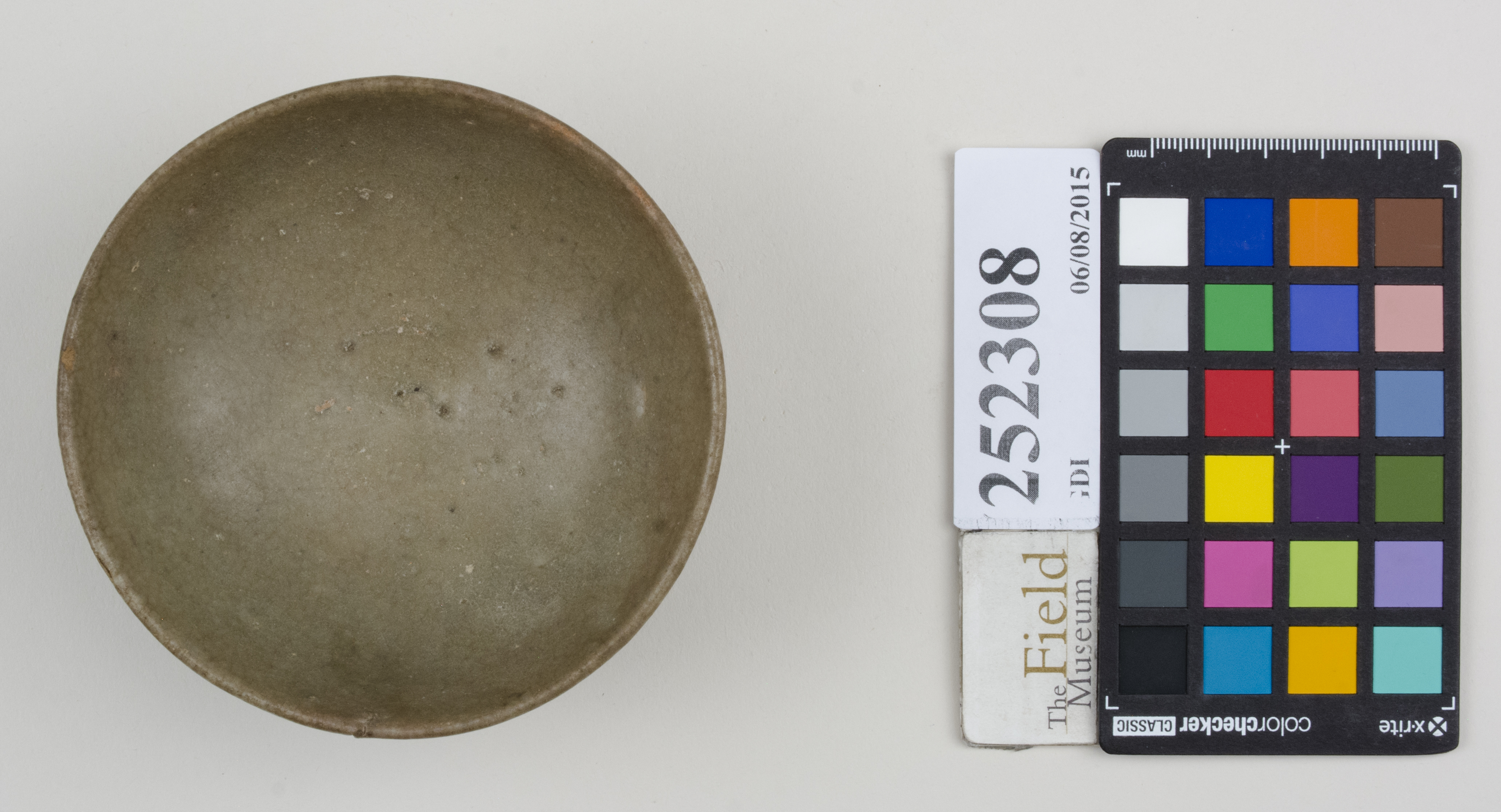 Top (c) Field Museum of Natural History - CC BY-NC 4.0