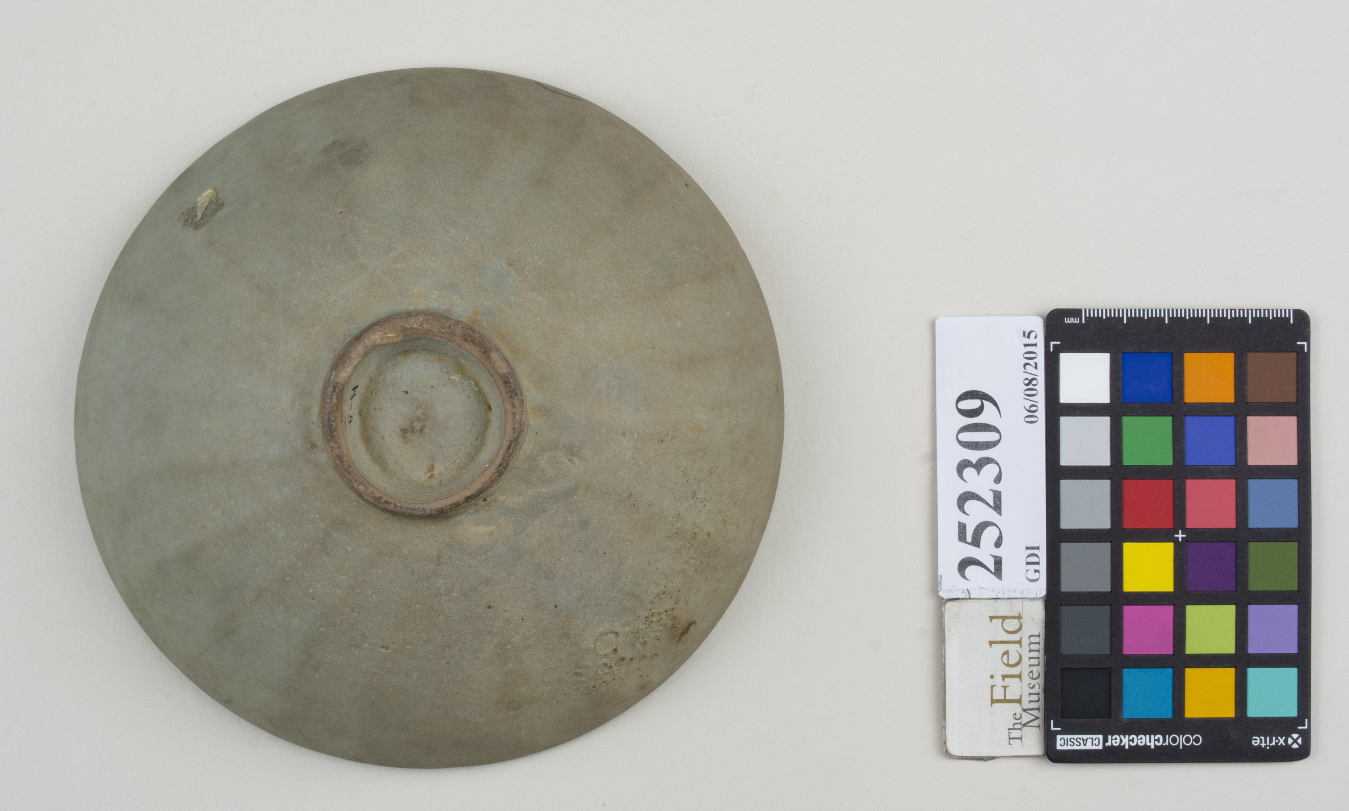 Bottom (c) Field Museum of Natural History - CC BY-NC 4.0