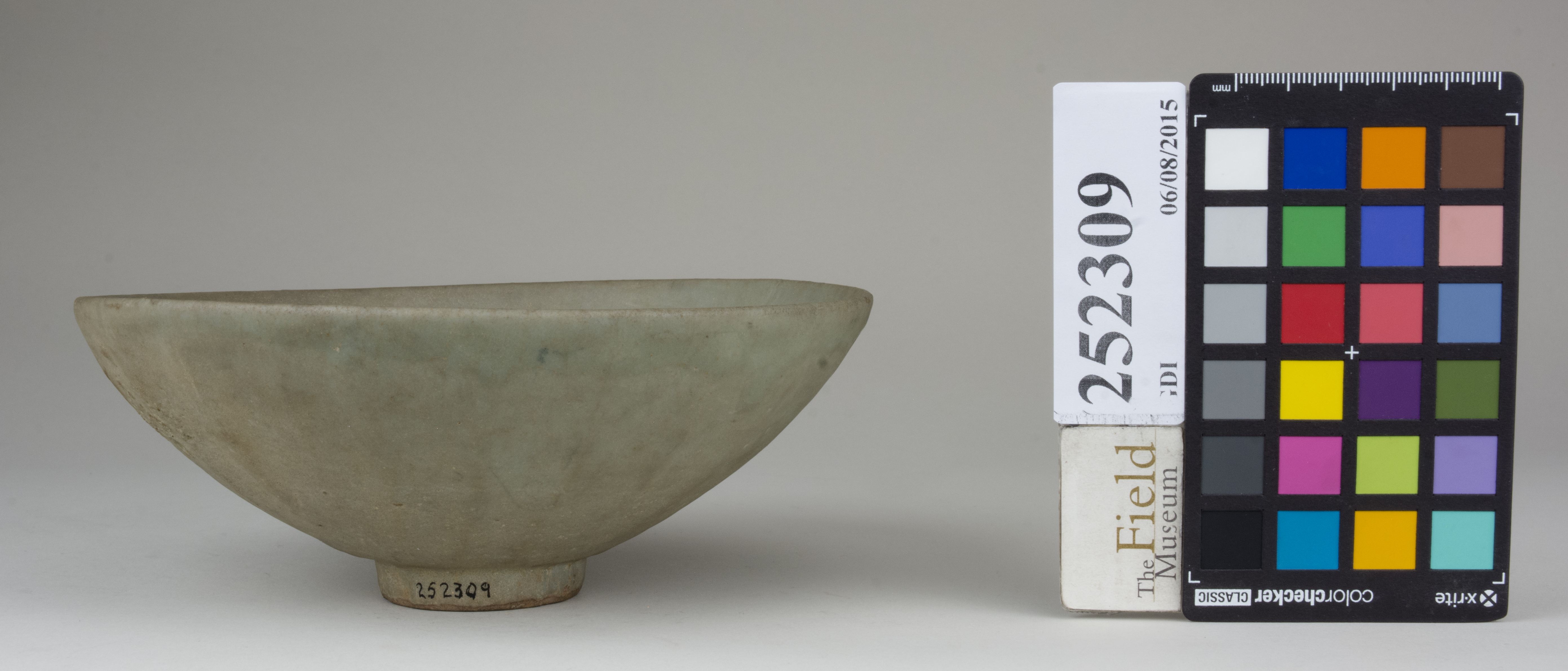 Front (c) Field Museum of Natural History - CC BY-NC 4.0