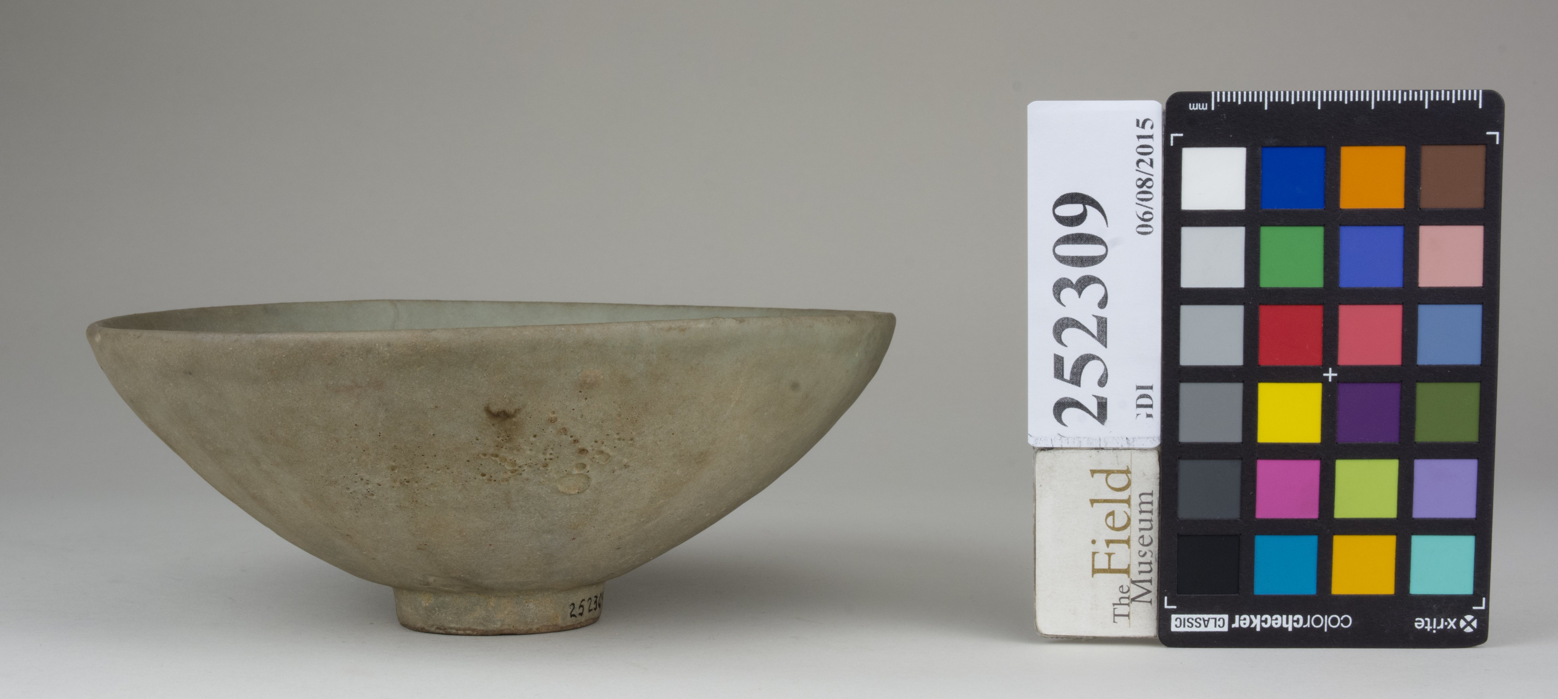 Right (c) Field Museum of Natural History - CC BY-NC 4.0