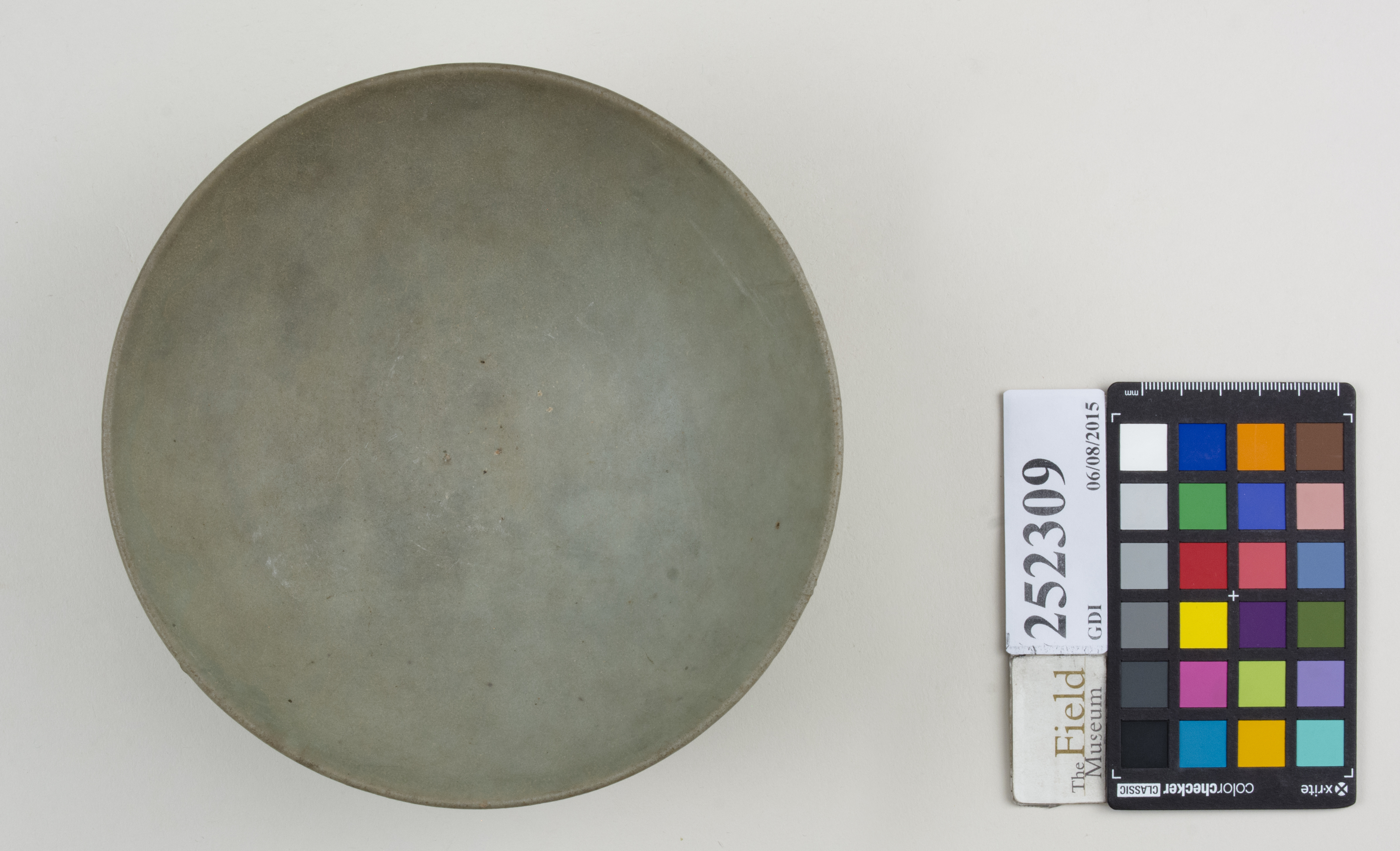 Top (c) Field Museum of Natural History - CC BY-NC 4.0