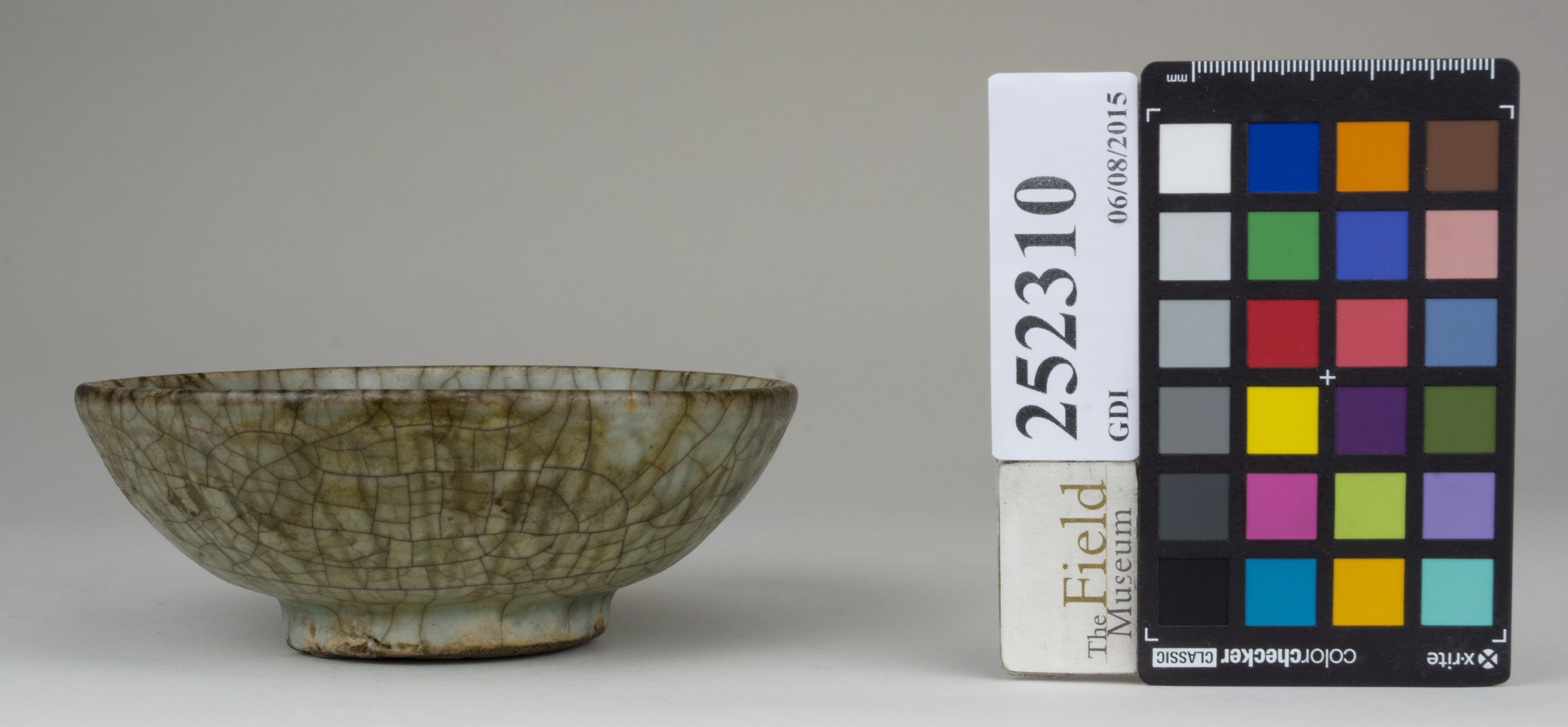 reference image, back (c) Field Museum of Natural History - CC BY-NC 4.0