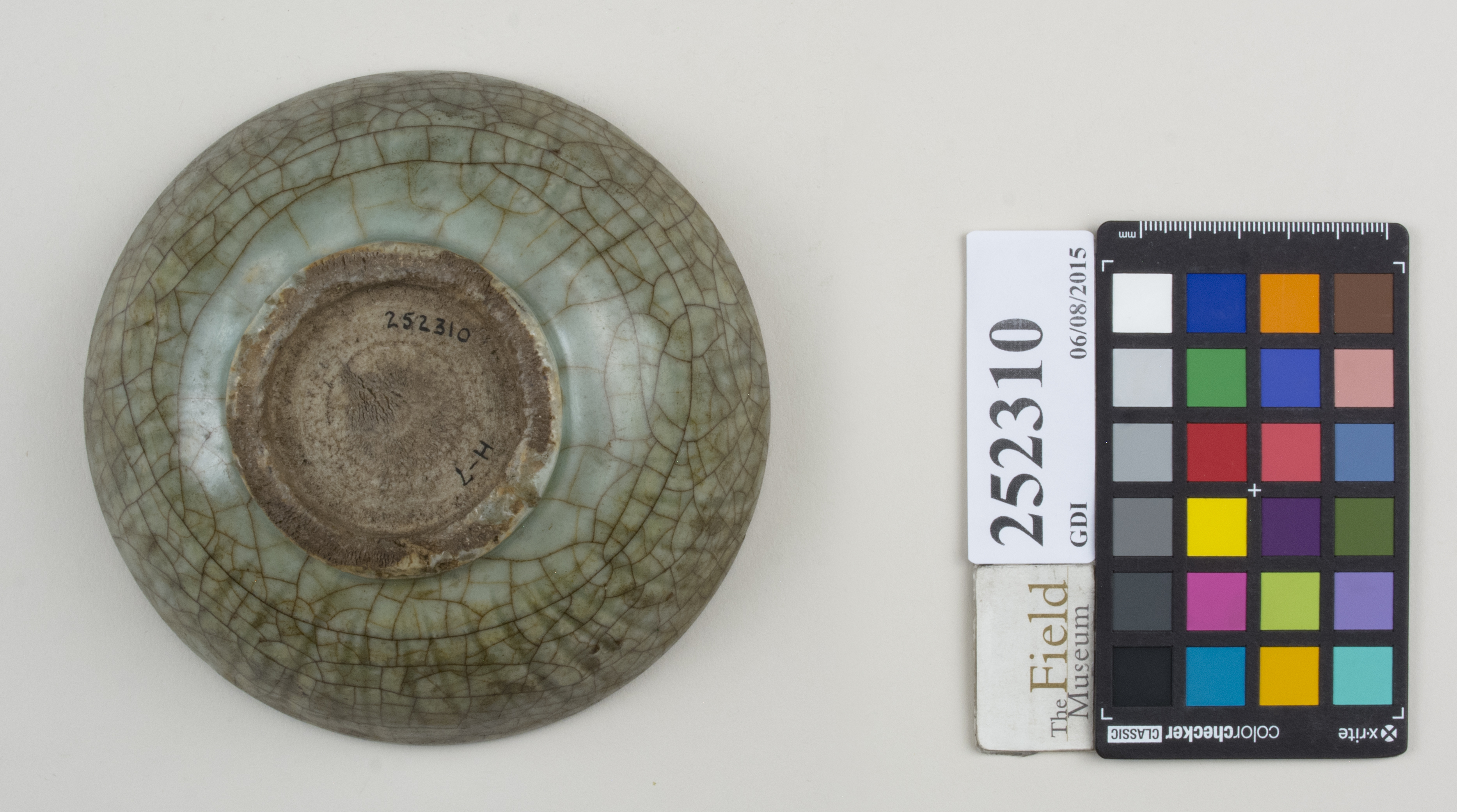 Bottom (c) Field Museum of Natural History - CC BY-NC 4.0