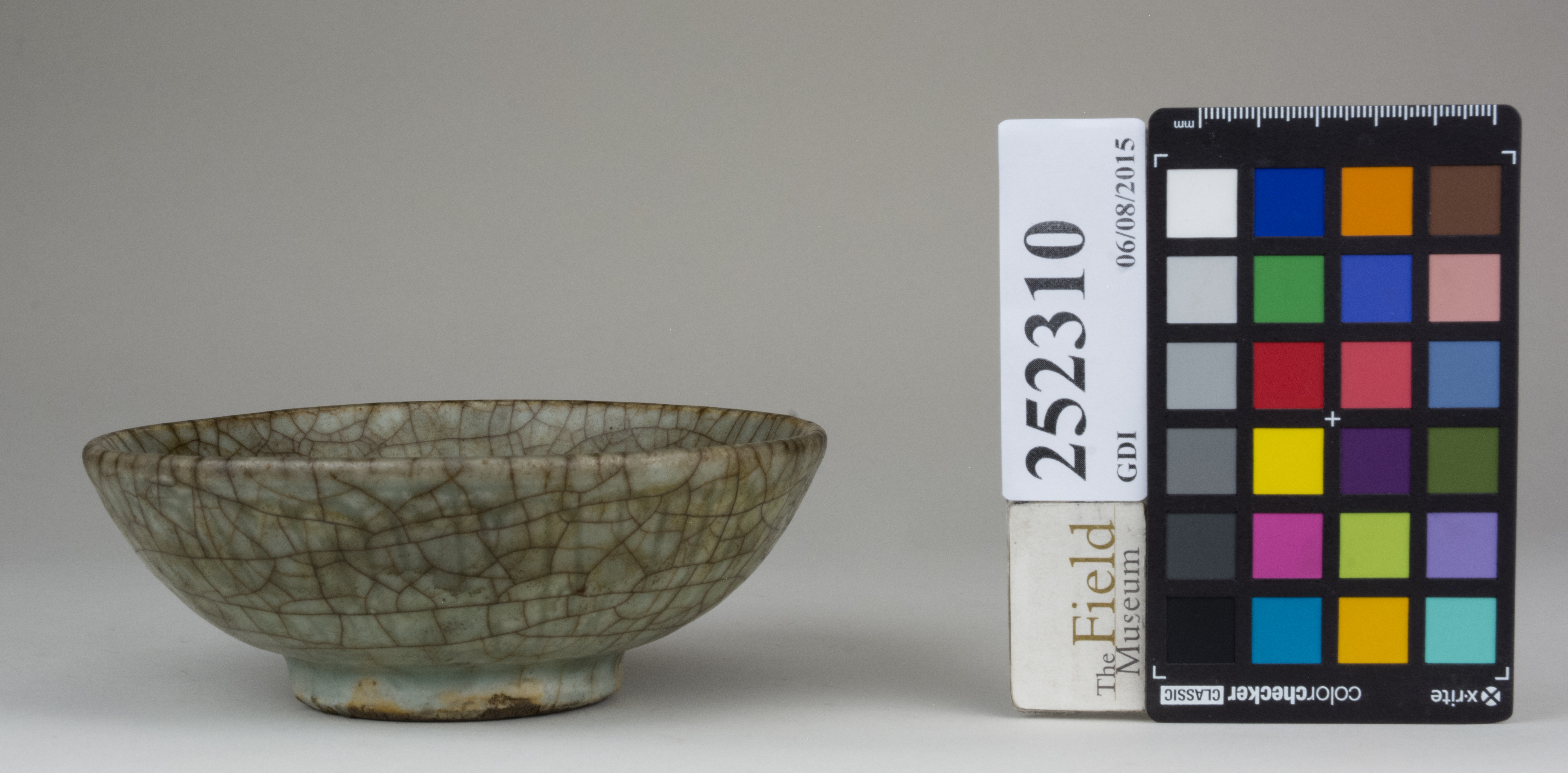 Front (c) Field Museum of Natural History - CC BY-NC 4.0