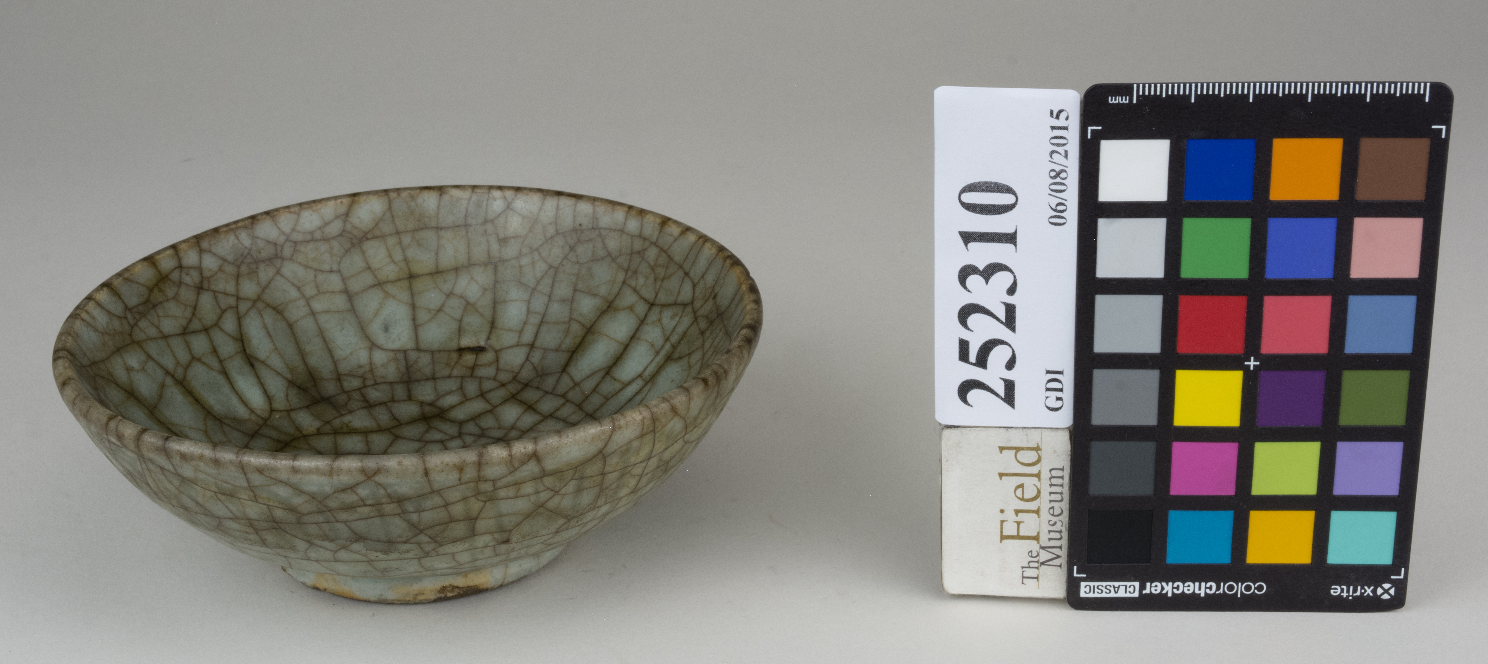 FrontAngle (c) Field Museum of Natural History - CC BY-NC 4.0