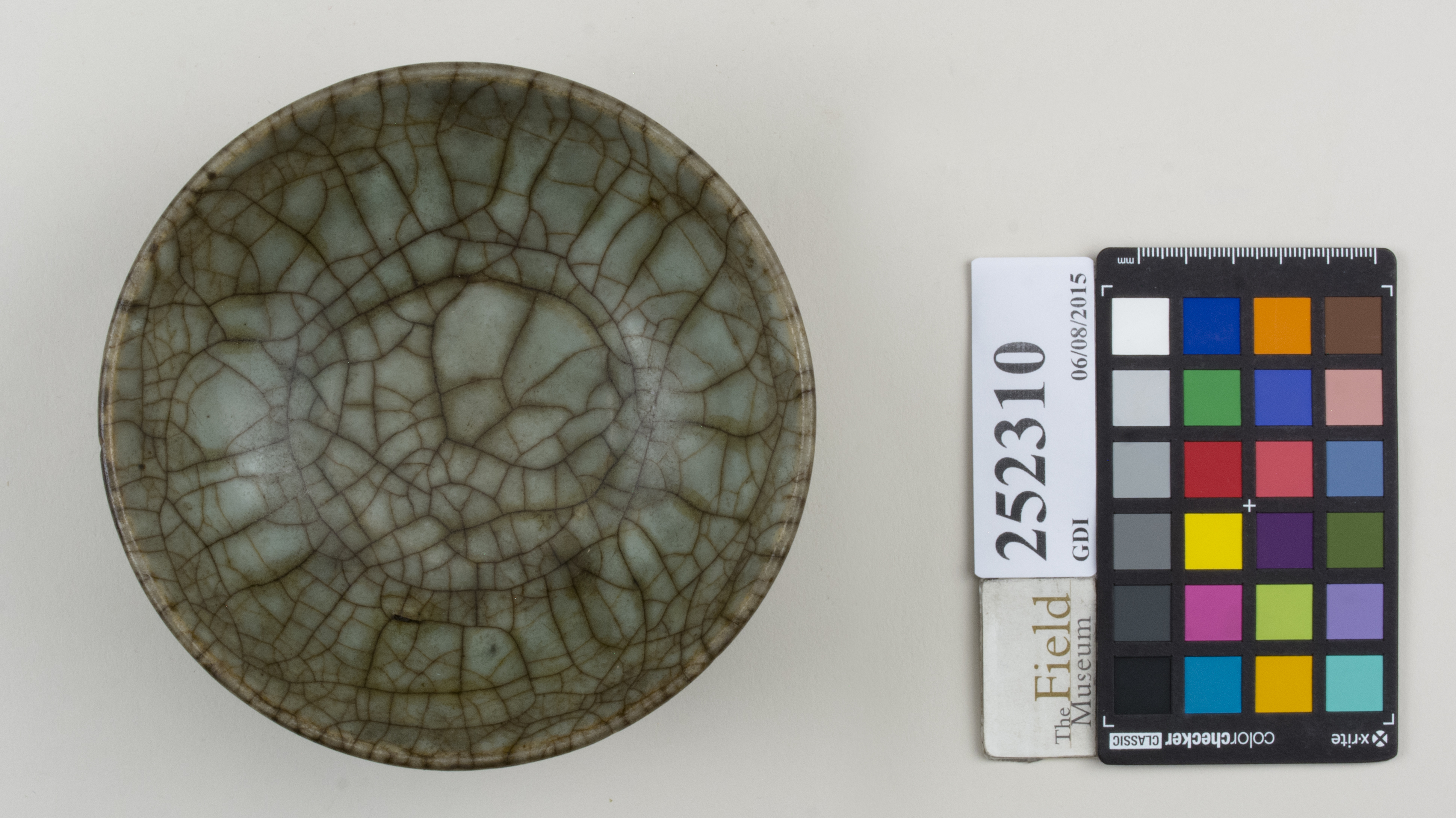 Top (c) Field Museum of Natural History - CC BY-NC 4.0