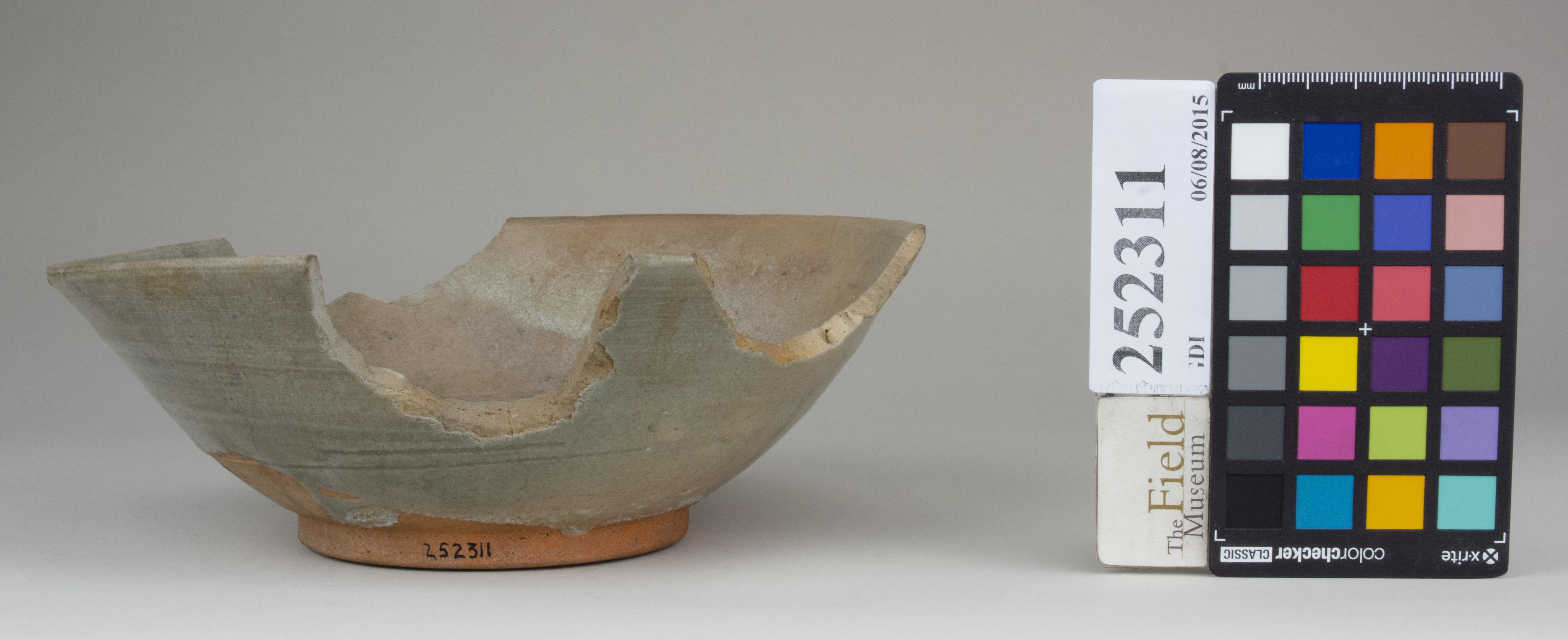 Front (c) Field Museum of Natural History - CC BY-NC 4.0