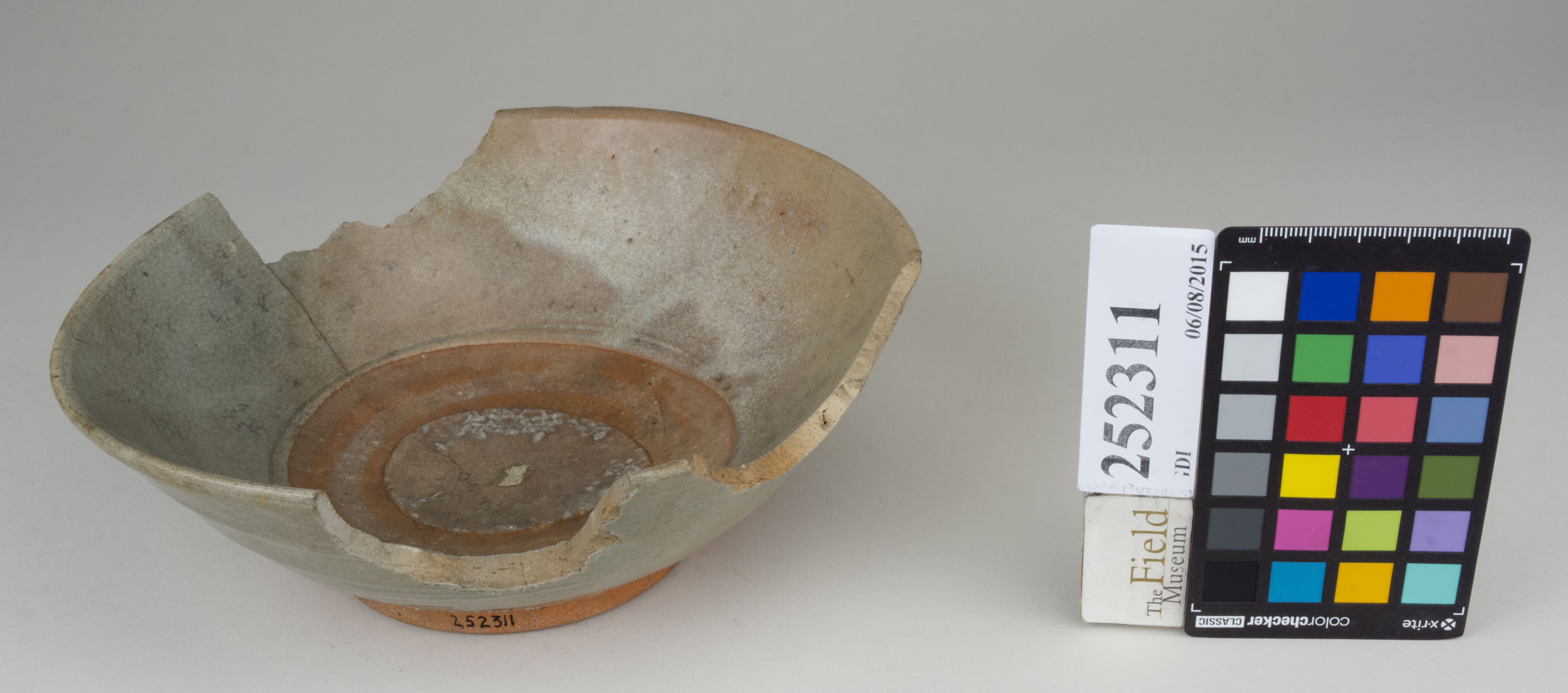 FrontAngle (c) Field Museum of Natural History - CC BY-NC 4.0