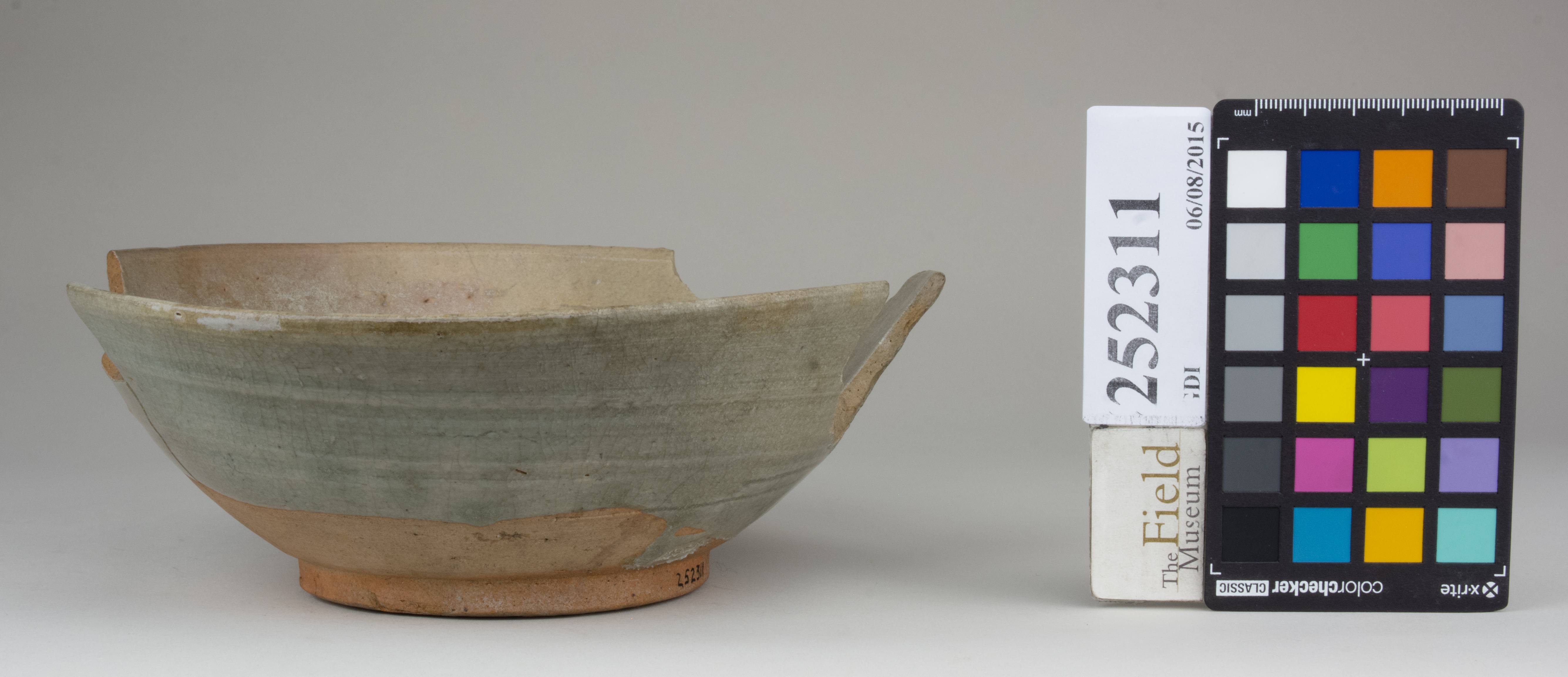 Right (c) Field Museum of Natural History - CC BY-NC 4.0