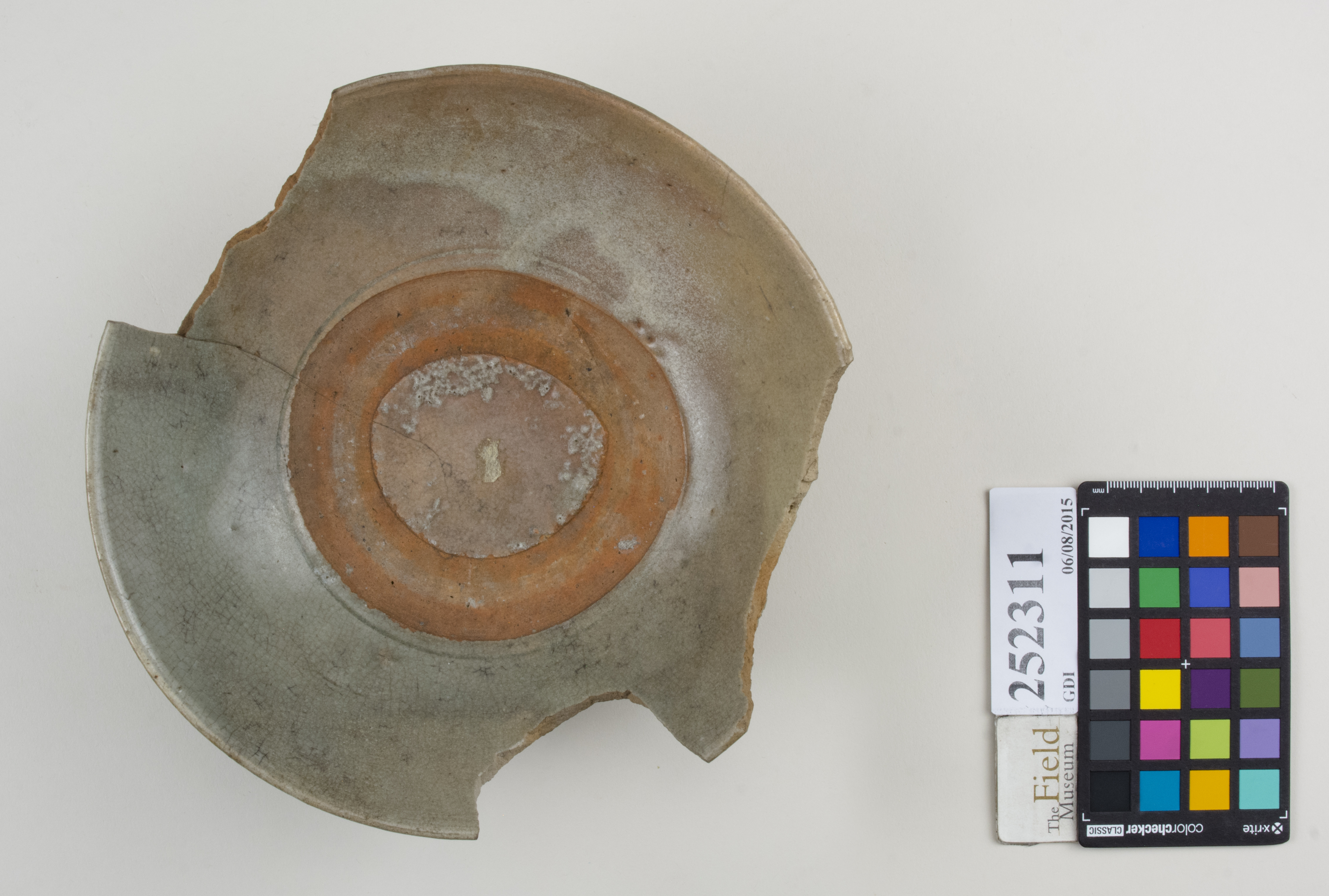 Top (c) Field Museum of Natural History - CC BY-NC 4.0