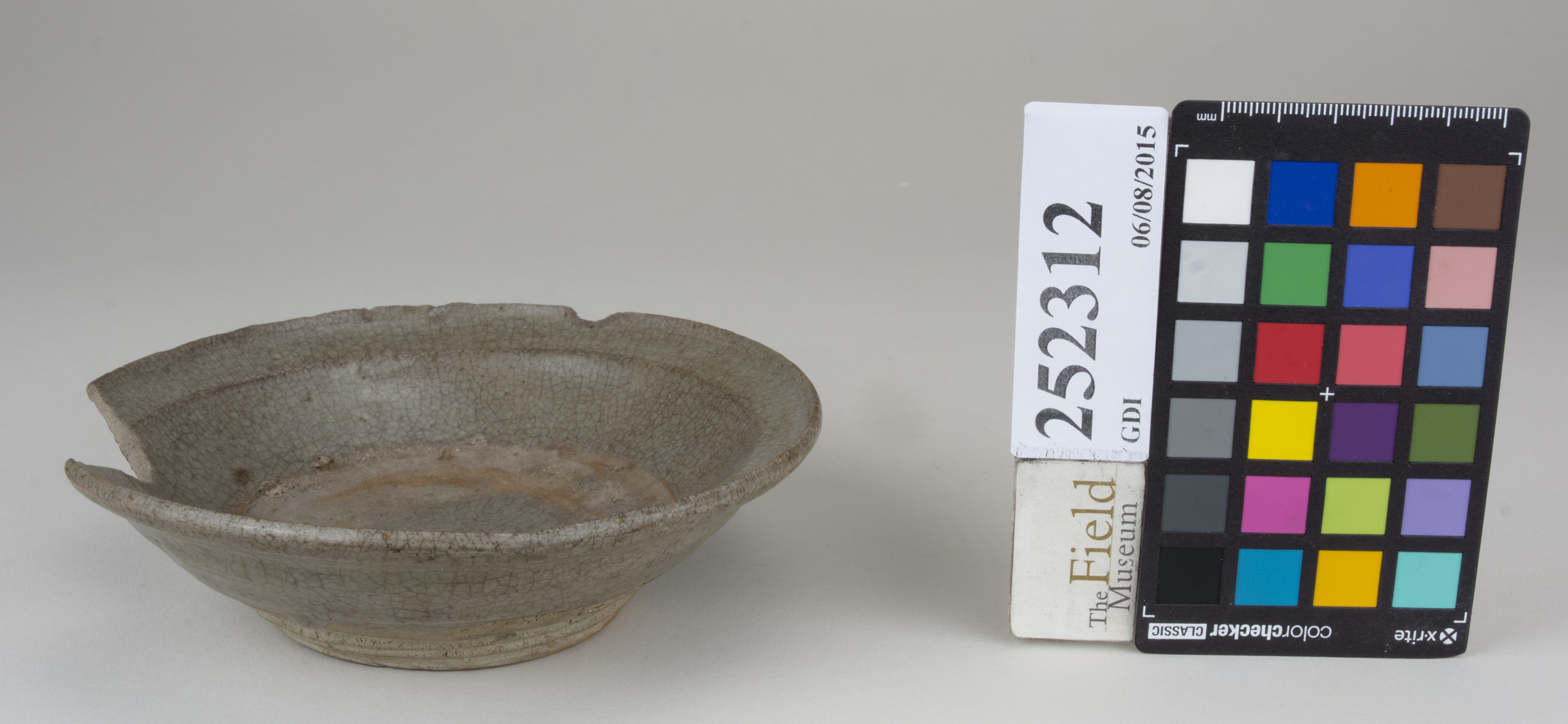 FrontAngle (c) Field Museum of Natural History - CC BY-NC 4.0