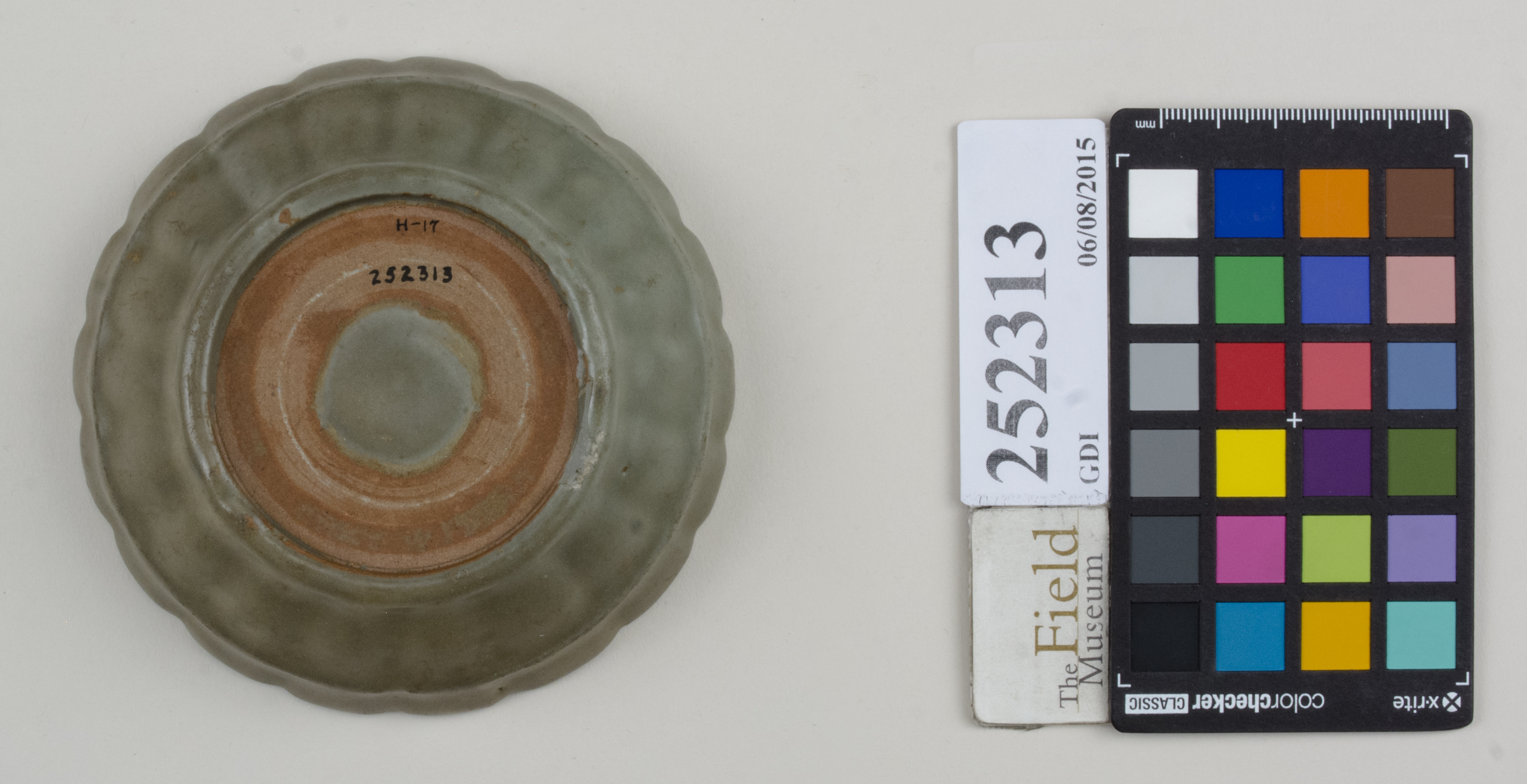 Bottom (c) Field Museum of Natural History - CC BY-NC 4.0