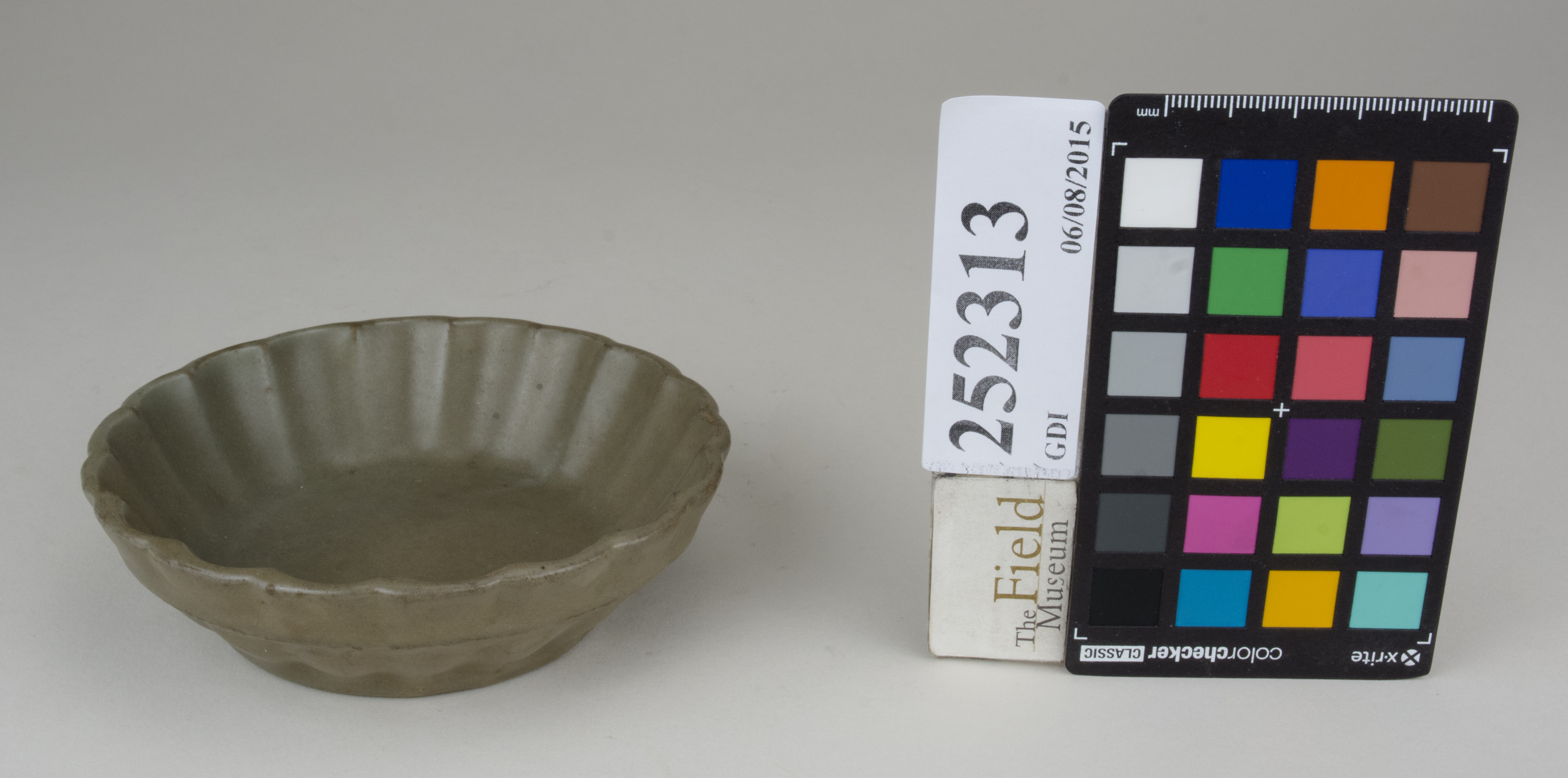 FrontAngle (c) Field Museum of Natural History - CC BY-NC 4.0