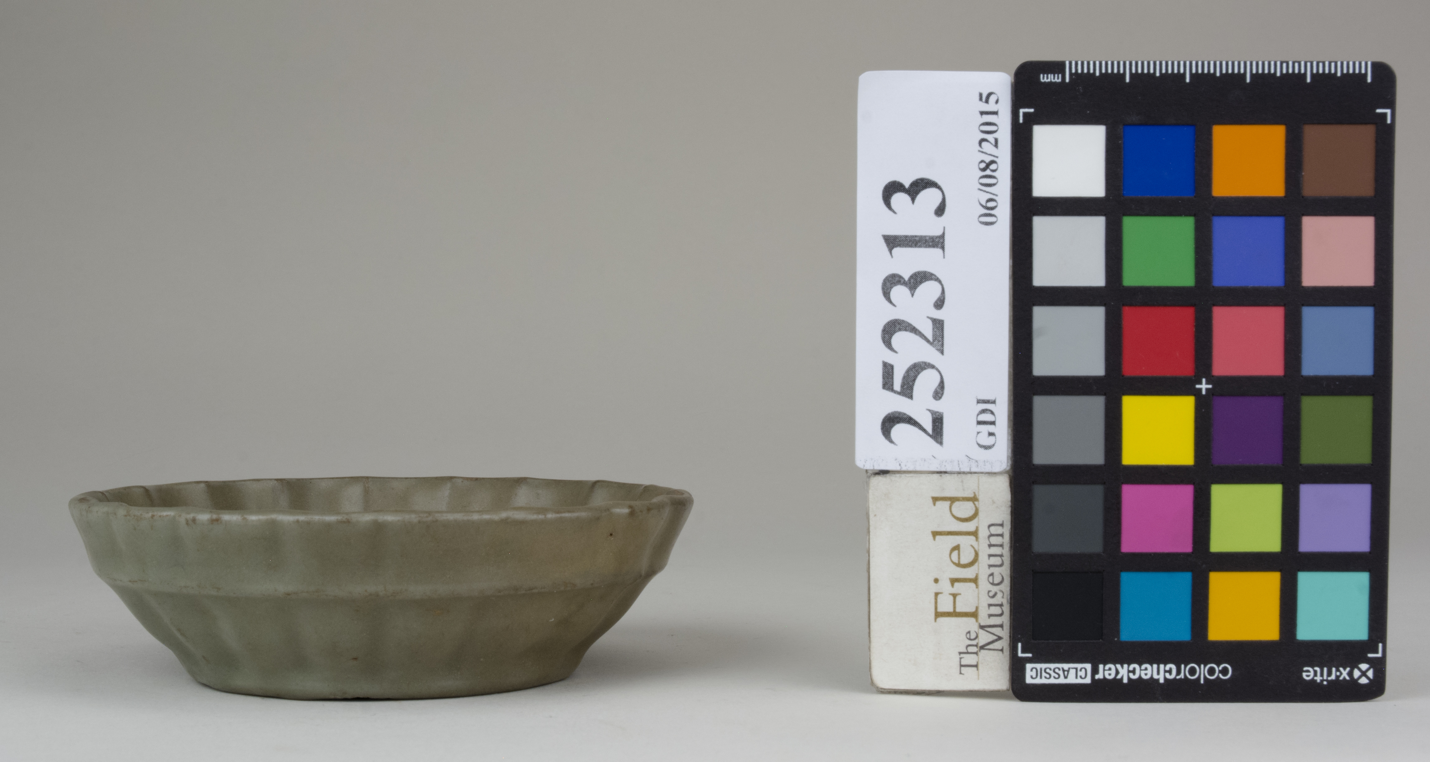 Right (c) Field Museum of Natural History - CC BY-NC 4.0