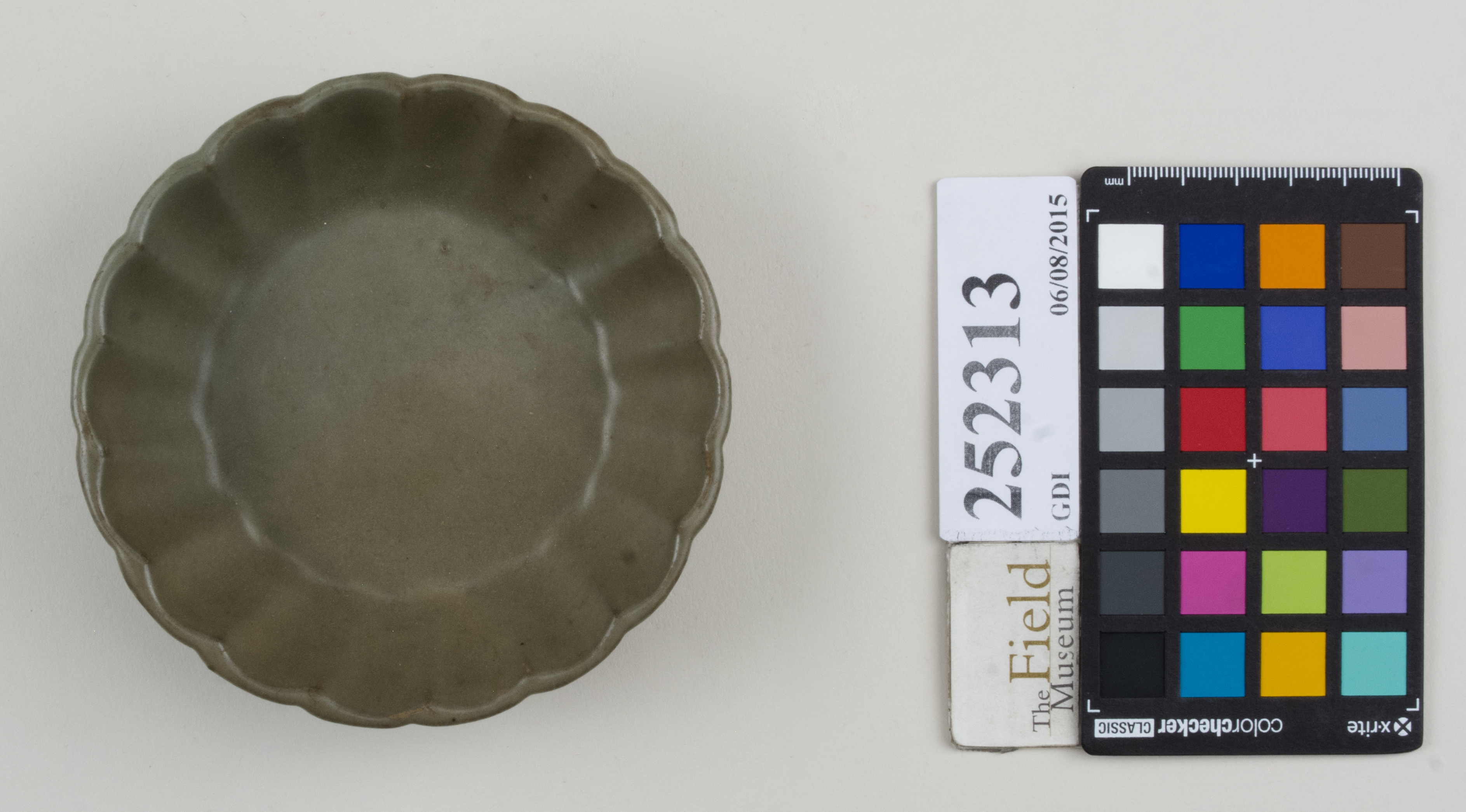 Top (c) Field Museum of Natural History - CC BY-NC 4.0