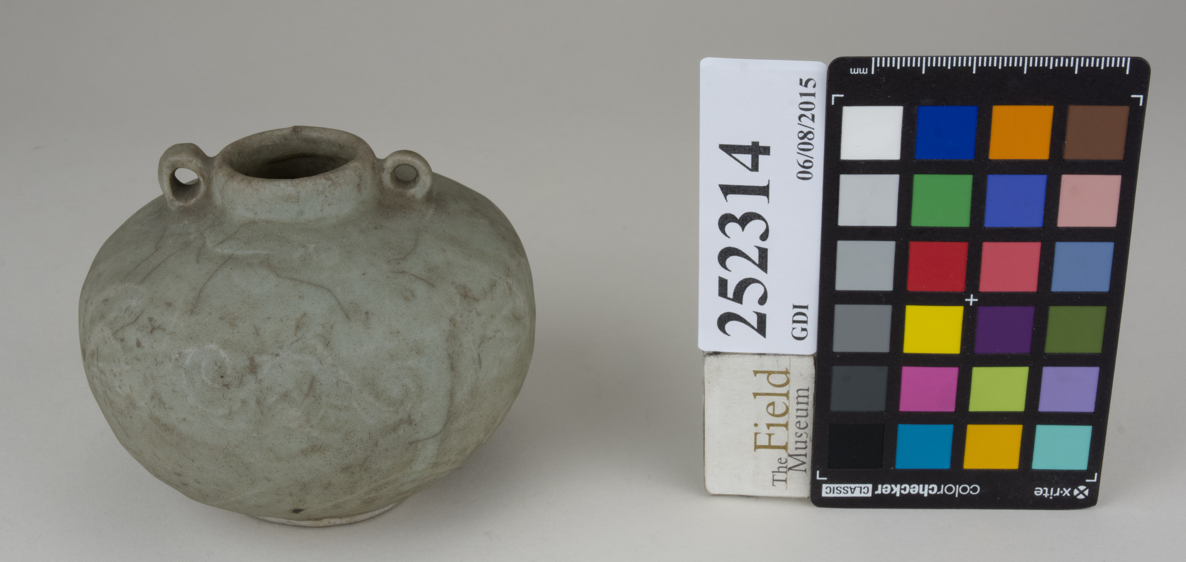 FrontAngle (c) Field Museum of Natural History - CC BY-NC 4.0