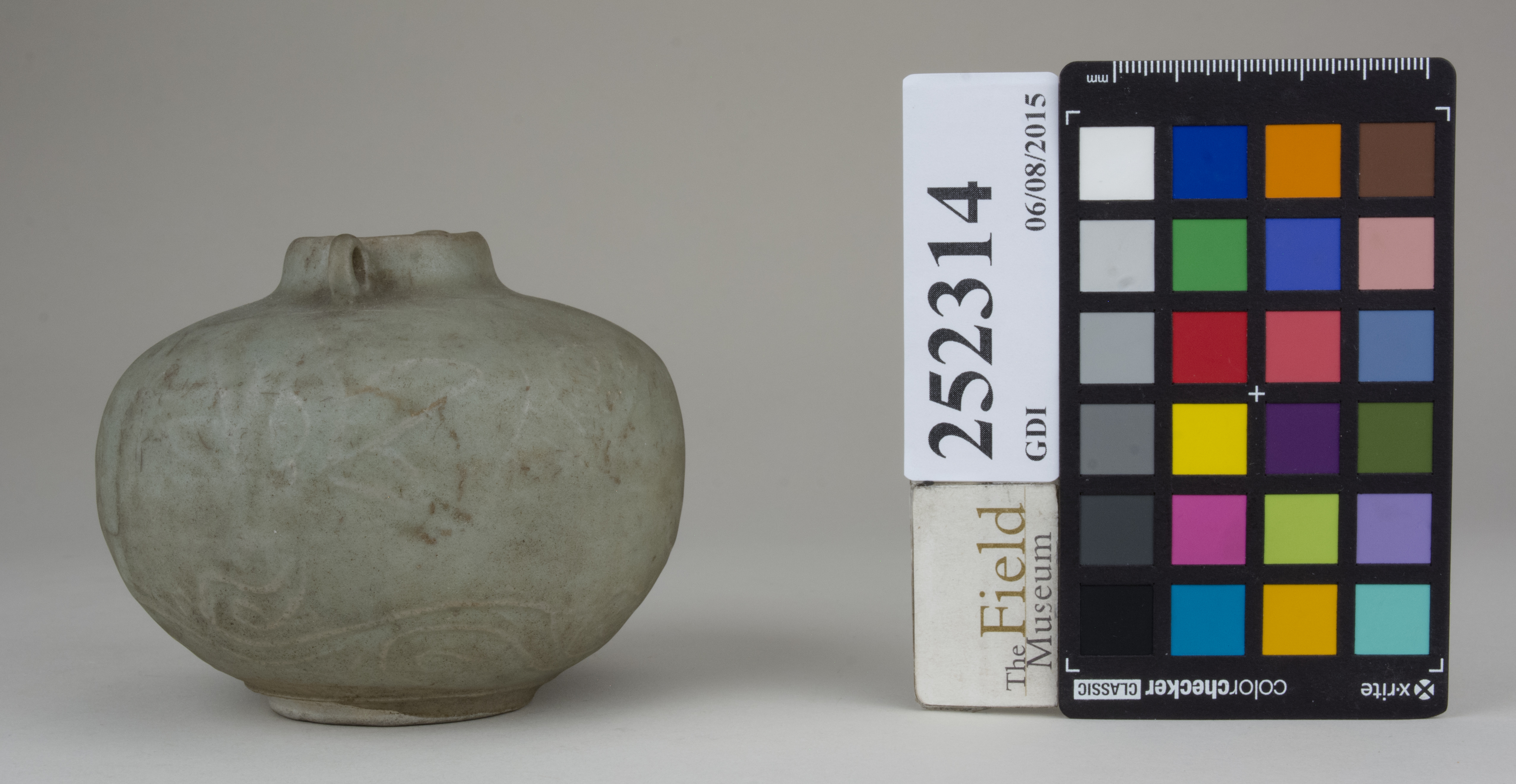 Left (c) Field Museum of Natural History - CC BY-NC 4.0