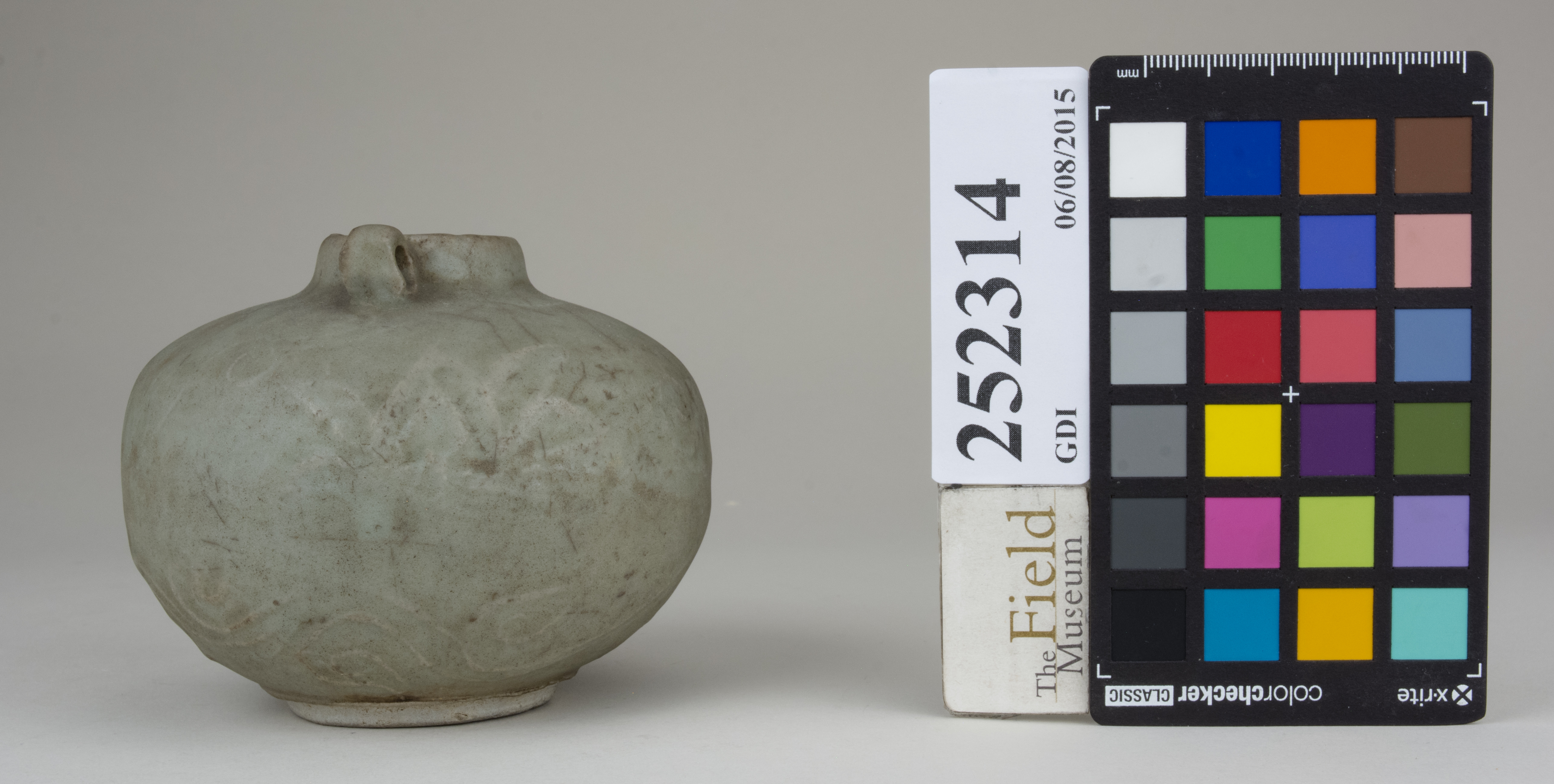 Right (c) Field Museum of Natural History - CC BY-NC 4.0