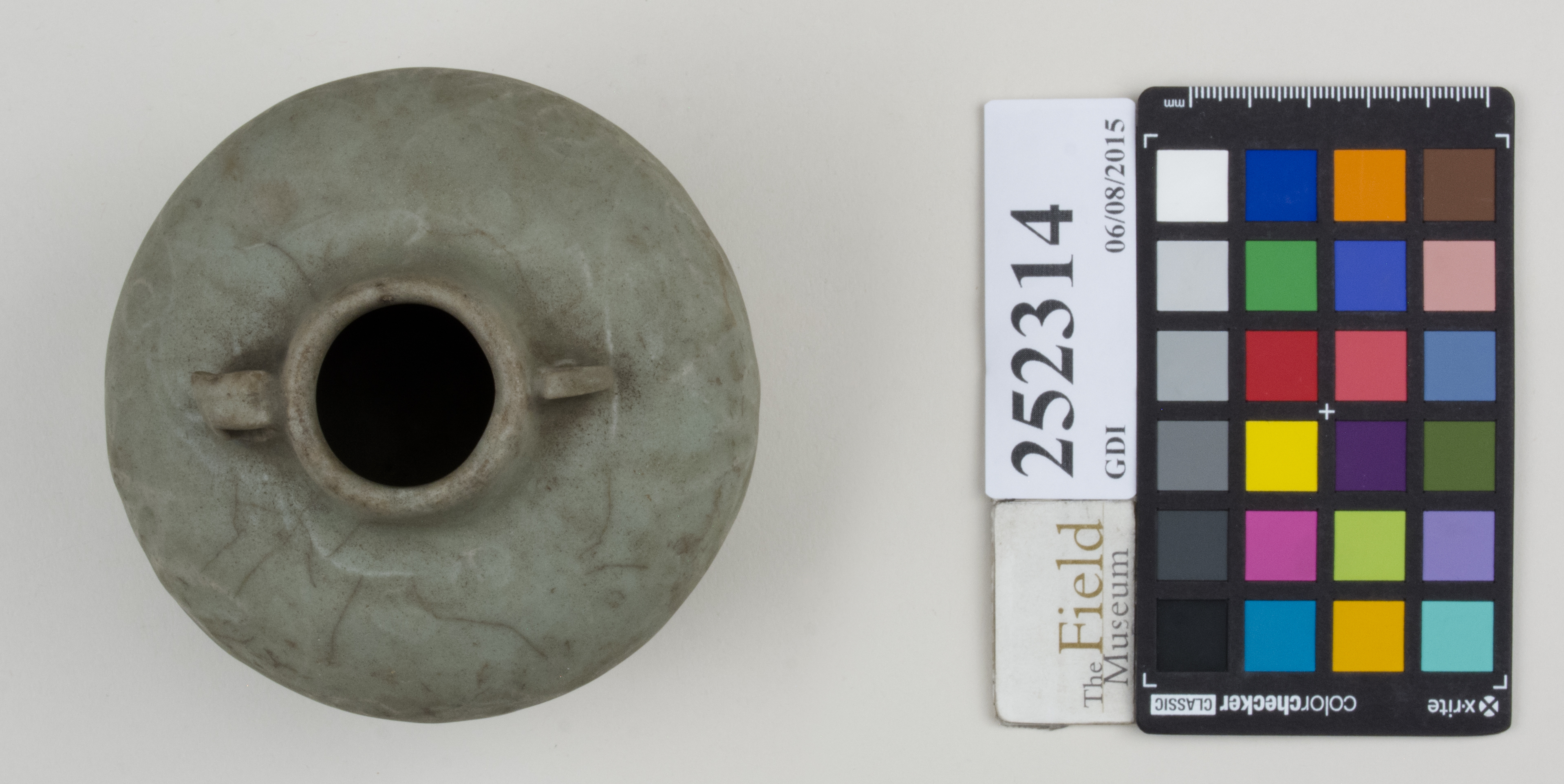 Top (c) Field Museum of Natural History - CC BY-NC 4.0