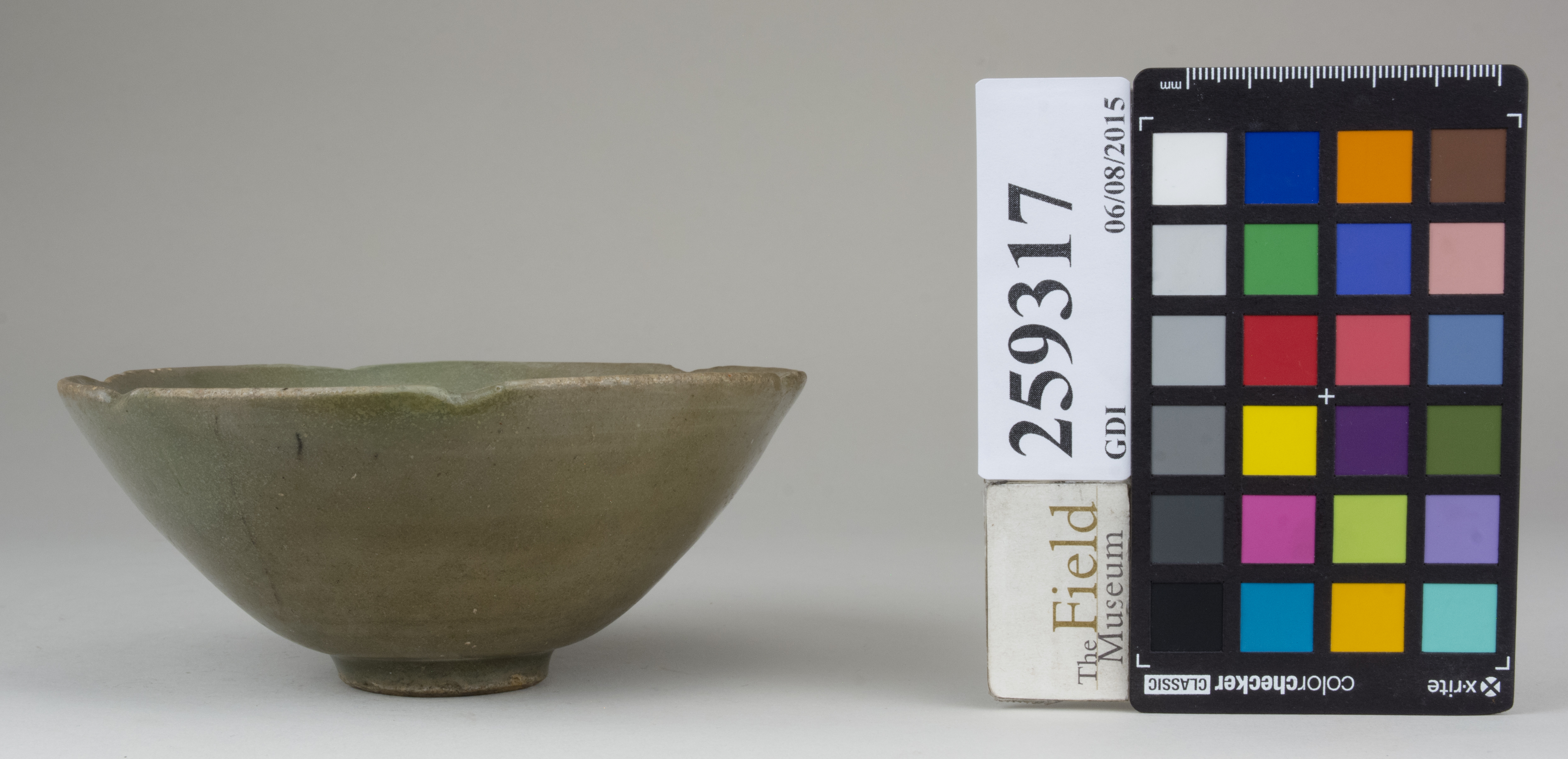 reference image, back (c) Field Museum of Natural History - CC BY-NC 4.0