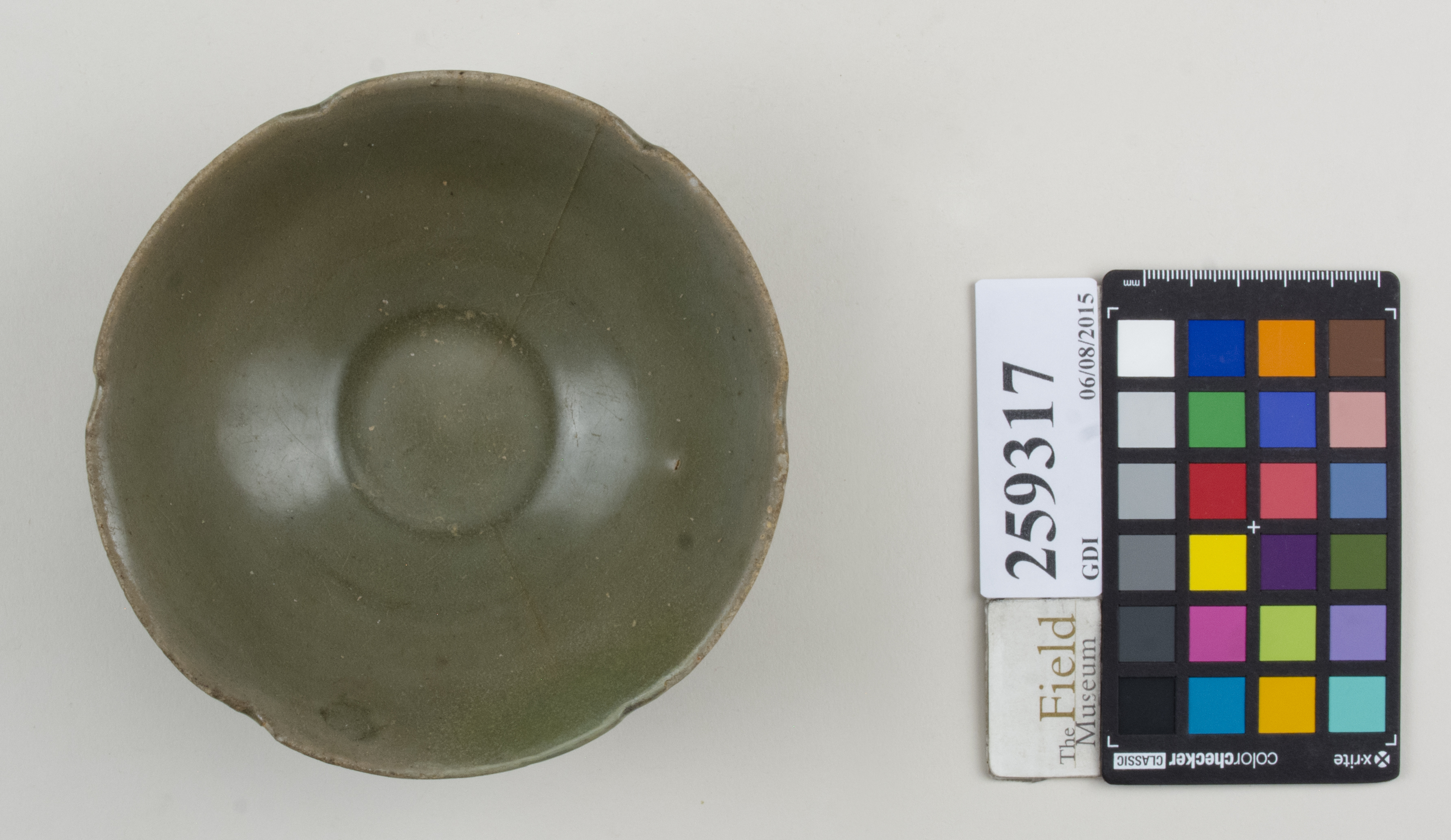 Top (c) Field Museum of Natural History - CC BY-NC 4.0