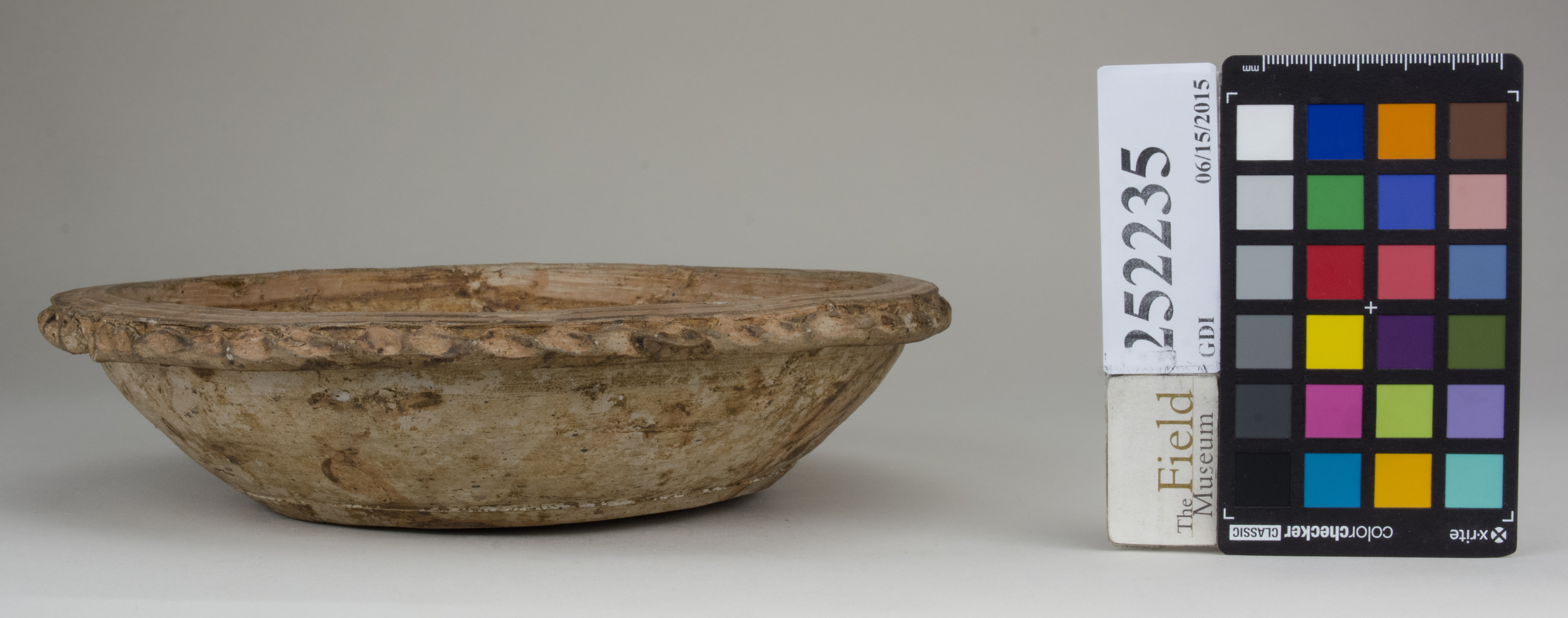 reference image, back (c) Field Museum of Natural History - CC BY-NC 4.0