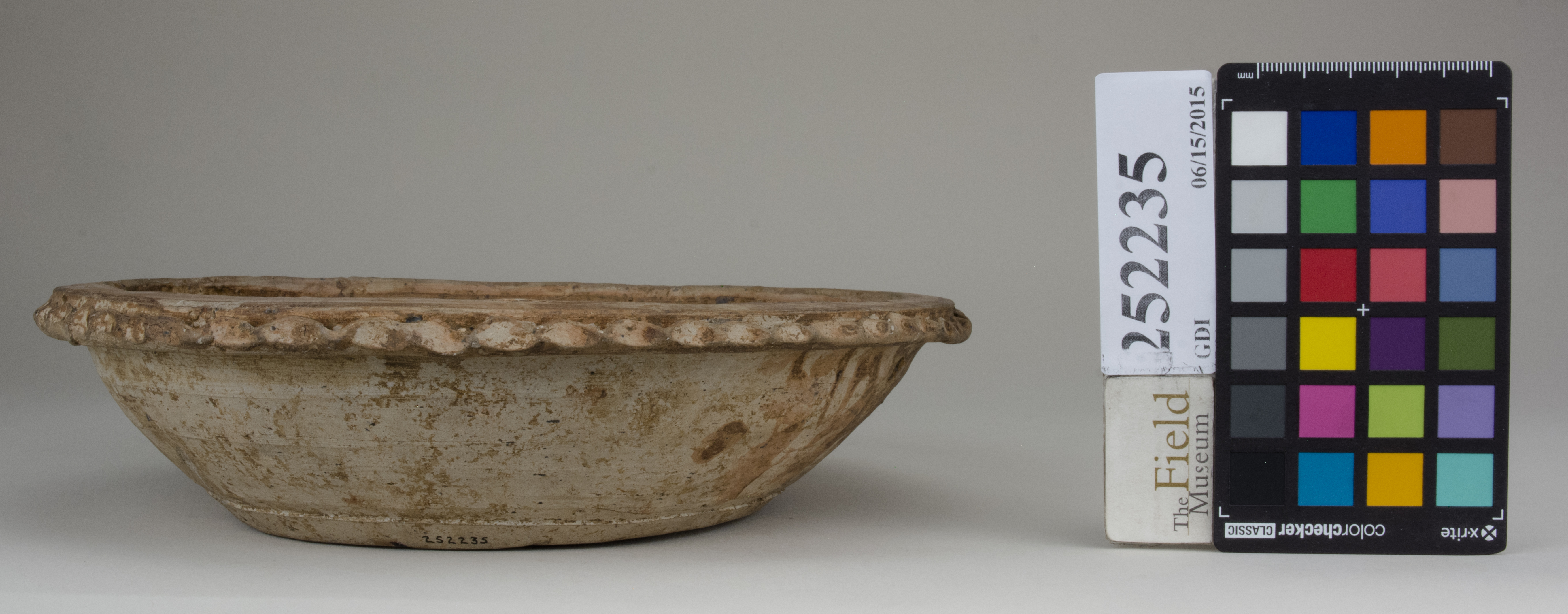 Front (c) Field Museum of Natural History - CC BY-NC 4.0